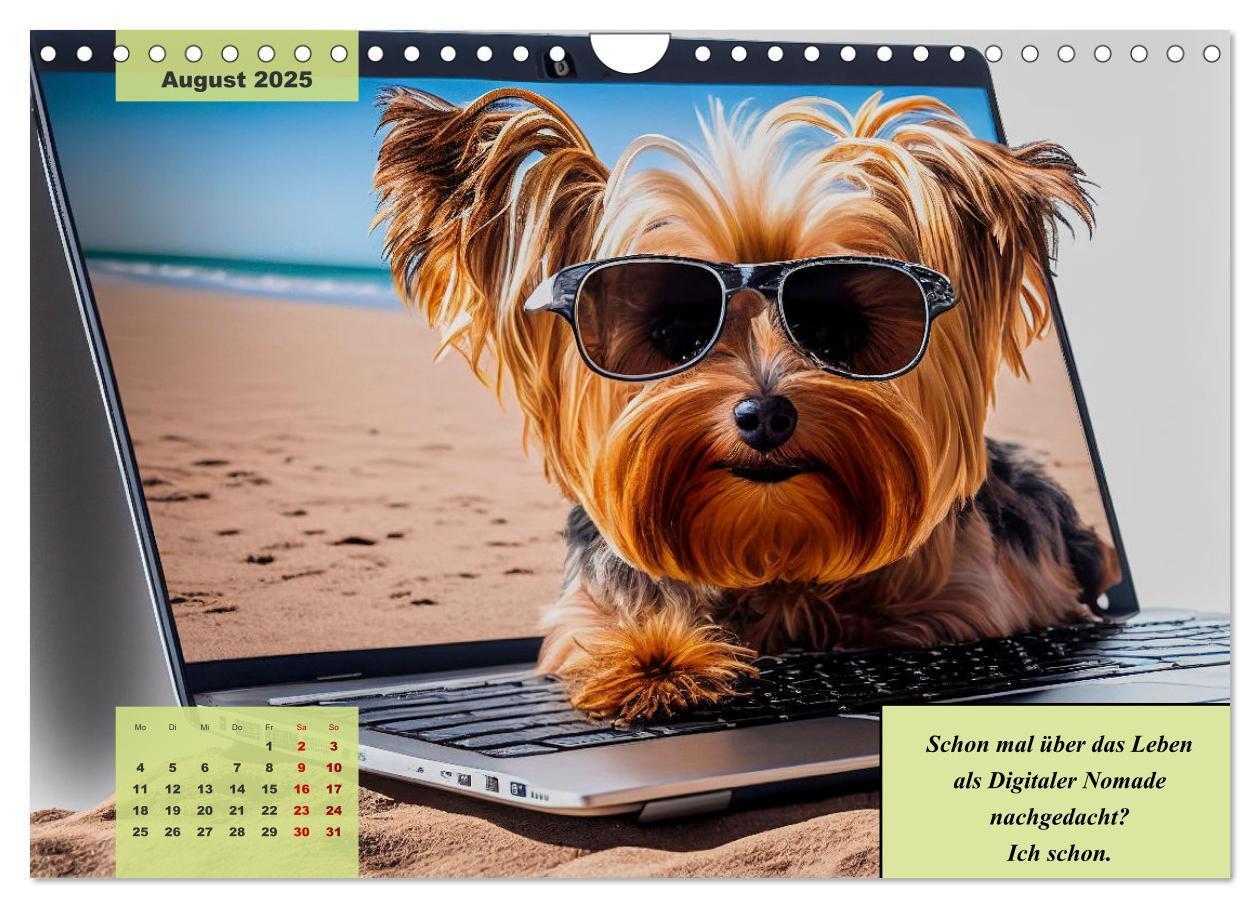 Bild: 9783383920523 | Der humoristische Yorkshire Terrier Kalender (Wandkalender 2025 DIN...