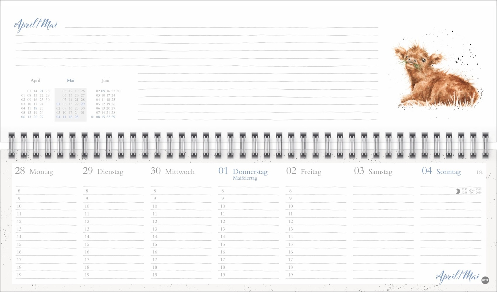 Bild: 9783756406616 | Hannah Dale : Wochenquerplaner 2025 | Hannah Dale | Kalender | 112 S.