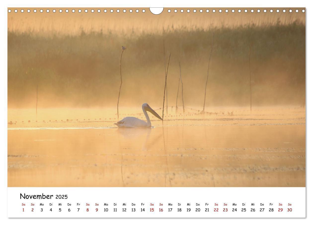 Bild: 9783435211159 | Eine Reise ins magische Donaudelta (Wandkalender 2025 DIN A3 quer),...