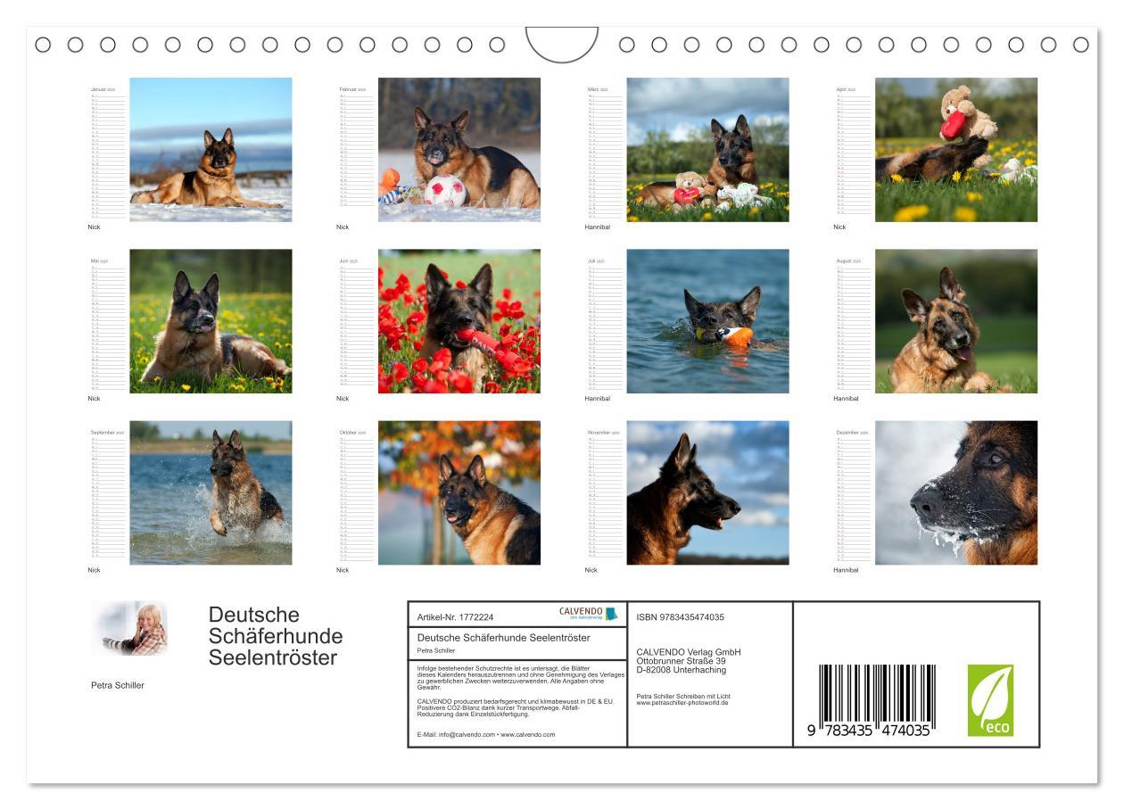 Bild: 9783435474035 | Deutsche Schäferhunde Seelentröster (Wandkalender 2025 DIN A4...