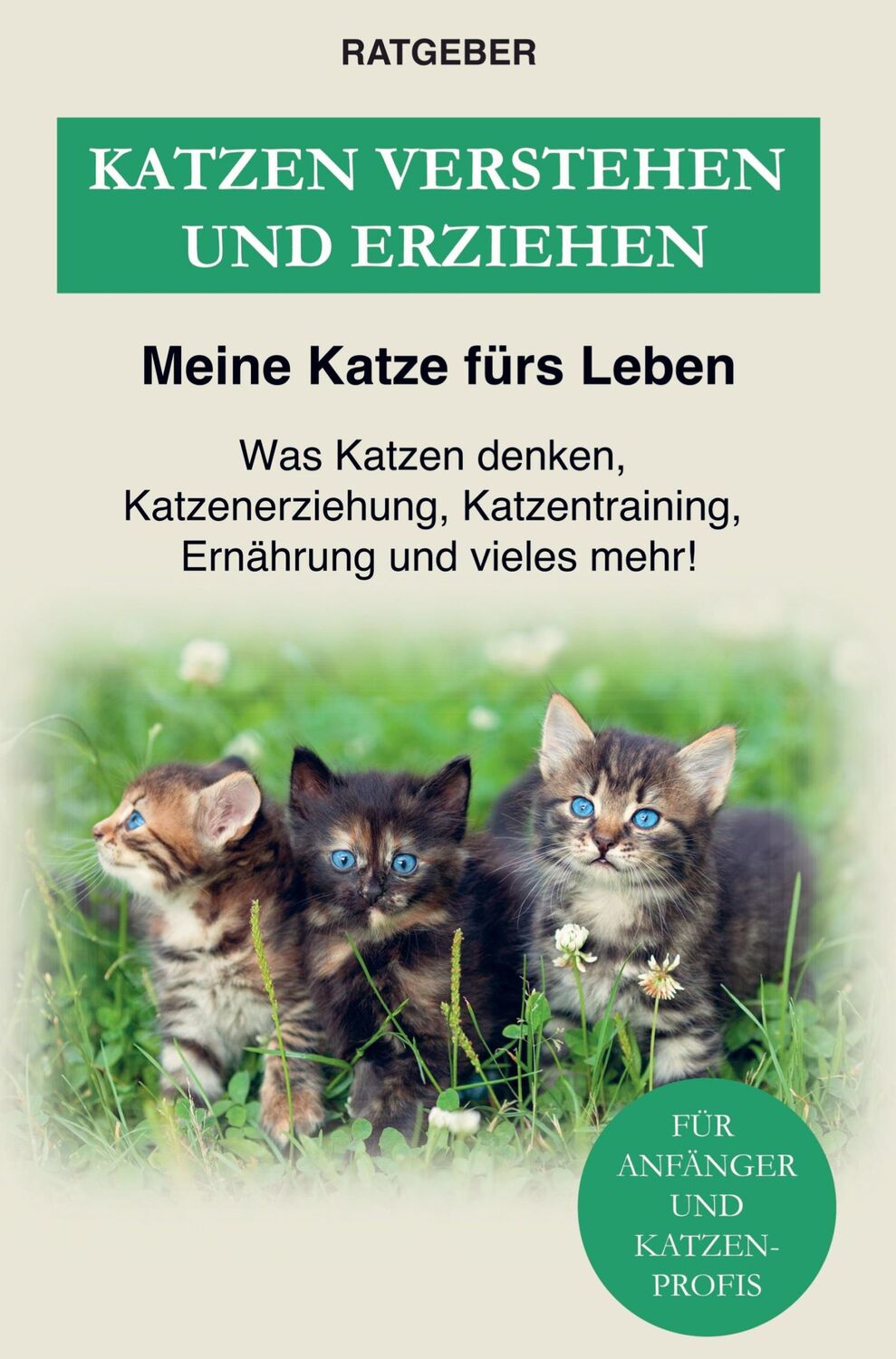 Cover: 9789403622118 | Katzen erziehen und verstehen | Ratgeber Meine Katze fürs Leben | Buch