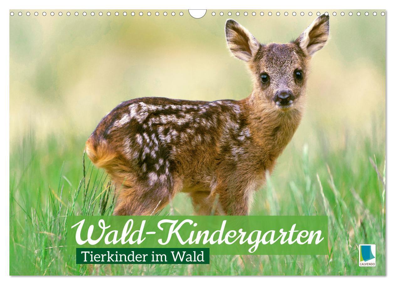 Cover: 9783457183779 | Wald-Kindergarten: Tierkinder im Wald (Wandkalender 2025 DIN A3...