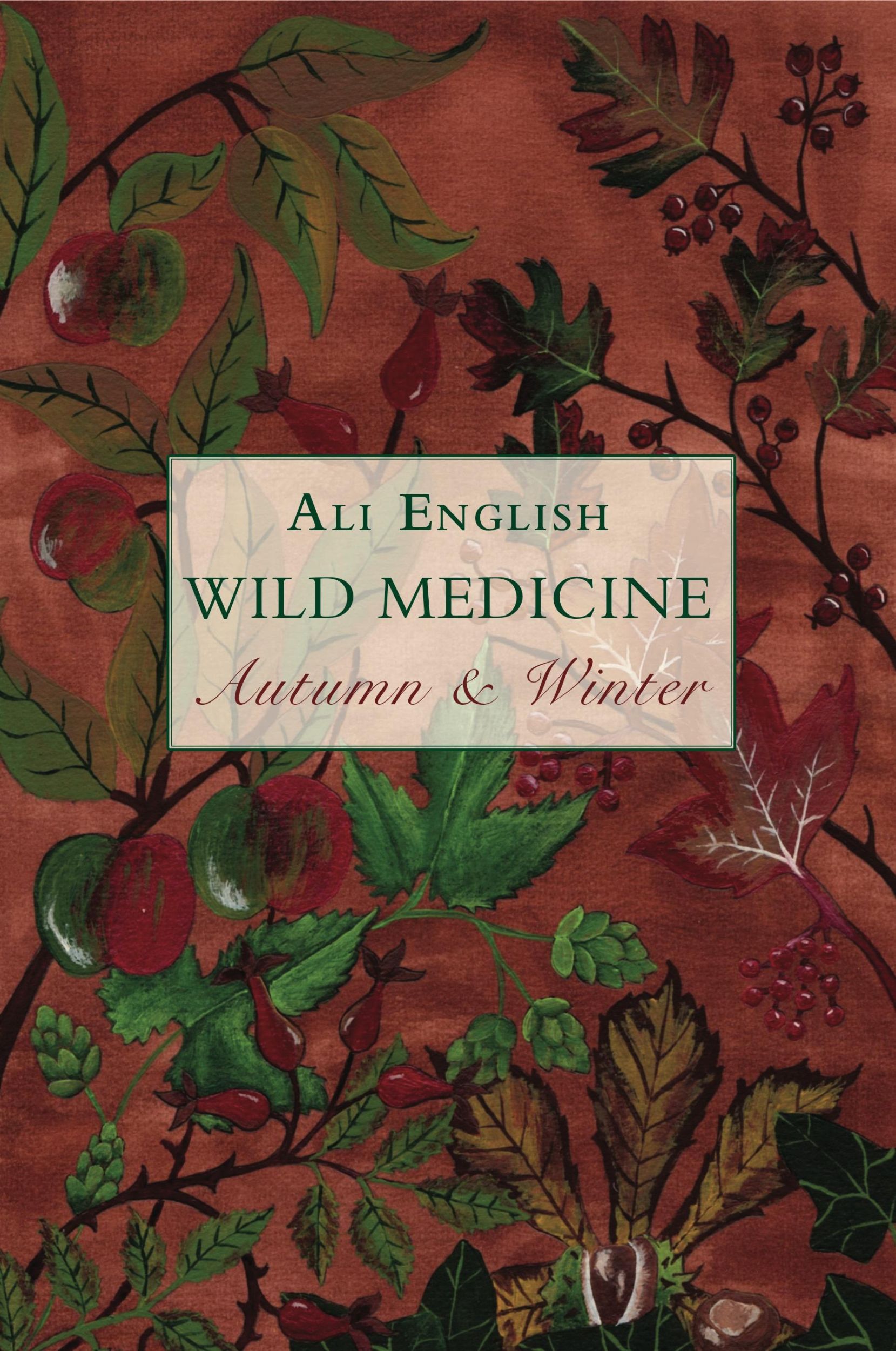 Cover: 9781911597681 | Wild Medicine, Autumn and Winter | Autumn and Winter | Ali English