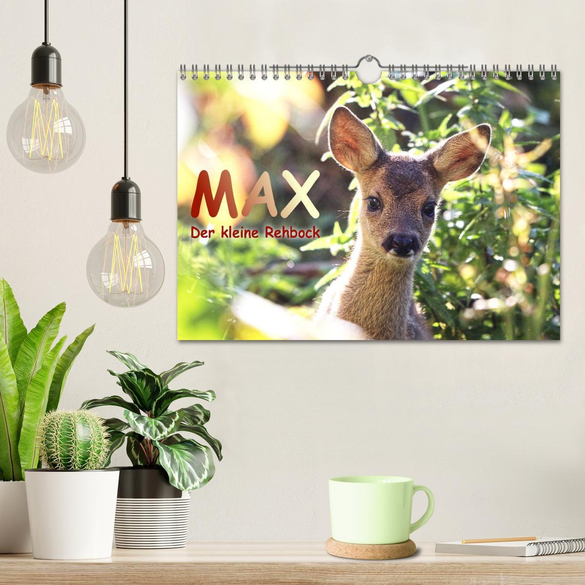 Bild: 9783435088812 | Max, der kleine Rehbock (Wandkalender 2025 DIN A4 quer), CALVENDO...