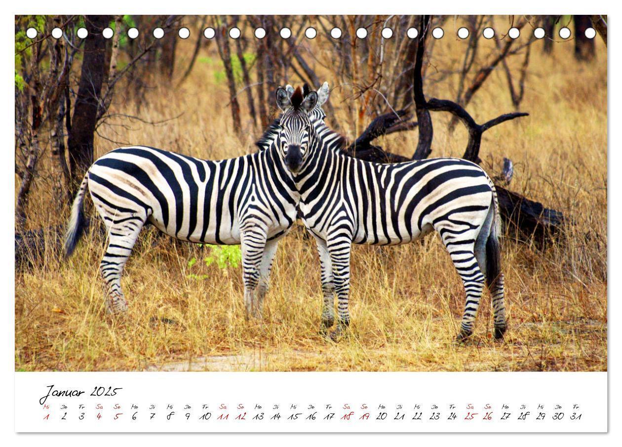 Bild: 9783435256938 | Namibia - Magie der Weite (Tischkalender 2025 DIN A5 quer),...