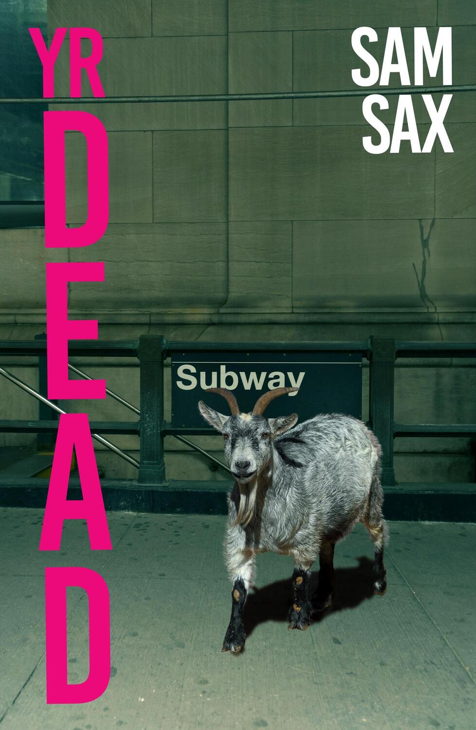 Cover: 9781914198861 | Yr Dead | Sam Sax | Taschenbuch | Englisch | 2024 | EAN 9781914198861