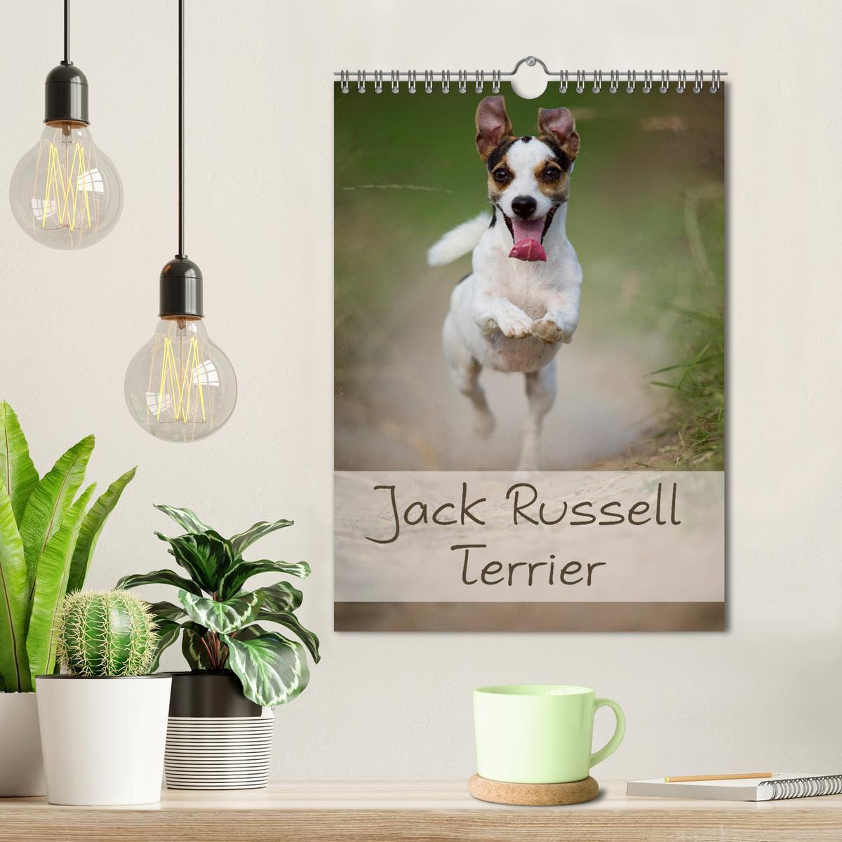 Bild: 9783457064986 | Jack Russell Terrier (Wandkalender 2025 DIN A4 hoch), CALVENDO...