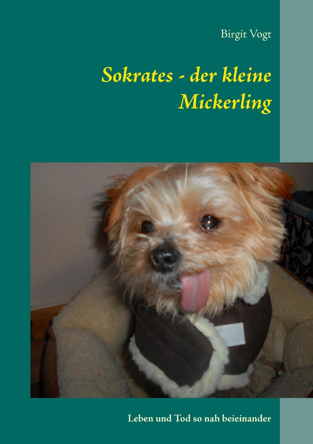 Cover: 9783744848312 | Sokrates - der kleine Mickerling | Leben und Tod so nah beieinander