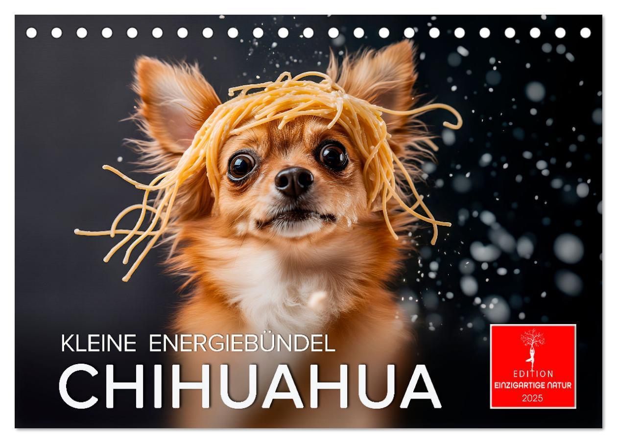 Cover: 9783457237106 | Chihuahua - kleine Energiebündel (Tischkalender 2025 DIN A5 quer),...