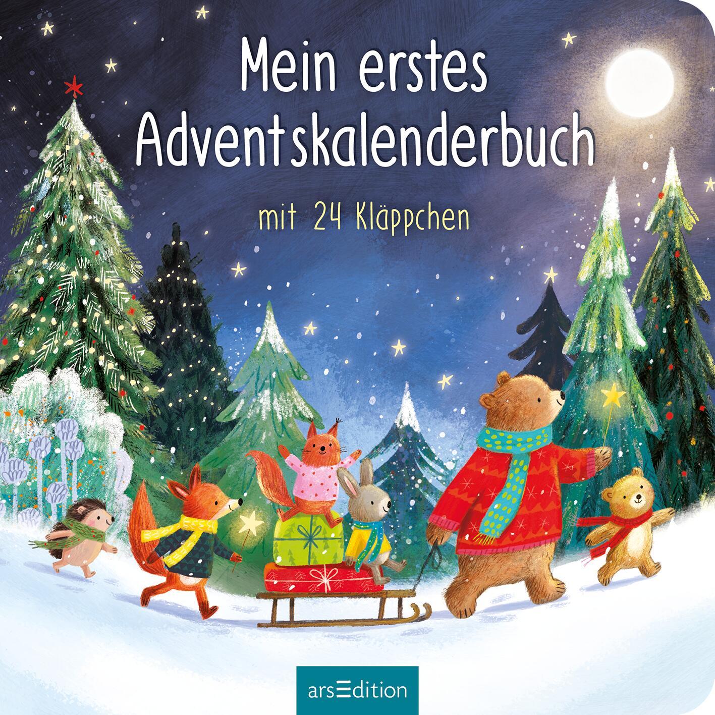 Bild: 9783845858371 | Mein erstes Adventskalenderbuch | Mit 24 Kläppchen | Maria Höck | Buch