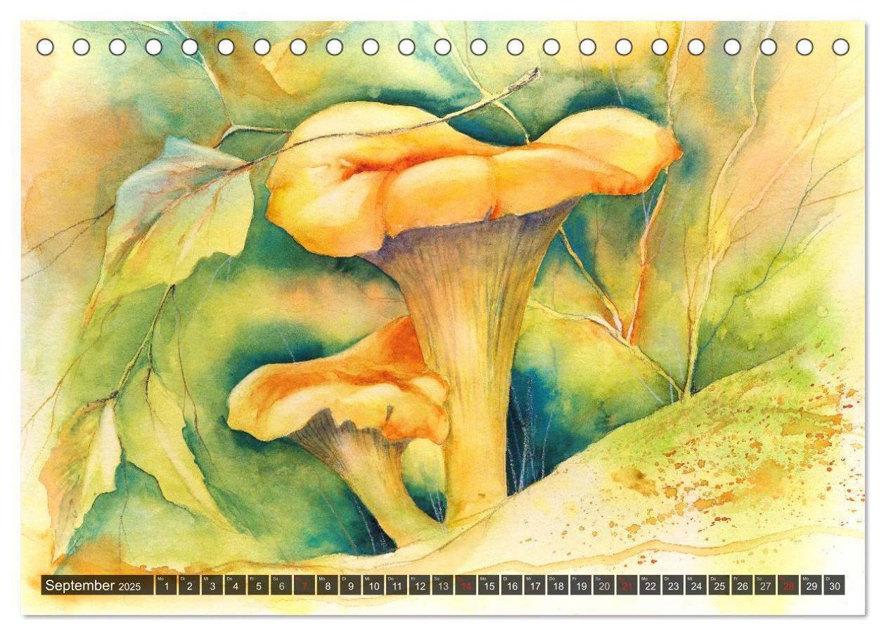 Bild: 9783435593545 | Pilze in Aquarell (Tischkalender 2025 DIN A5 quer), CALVENDO...