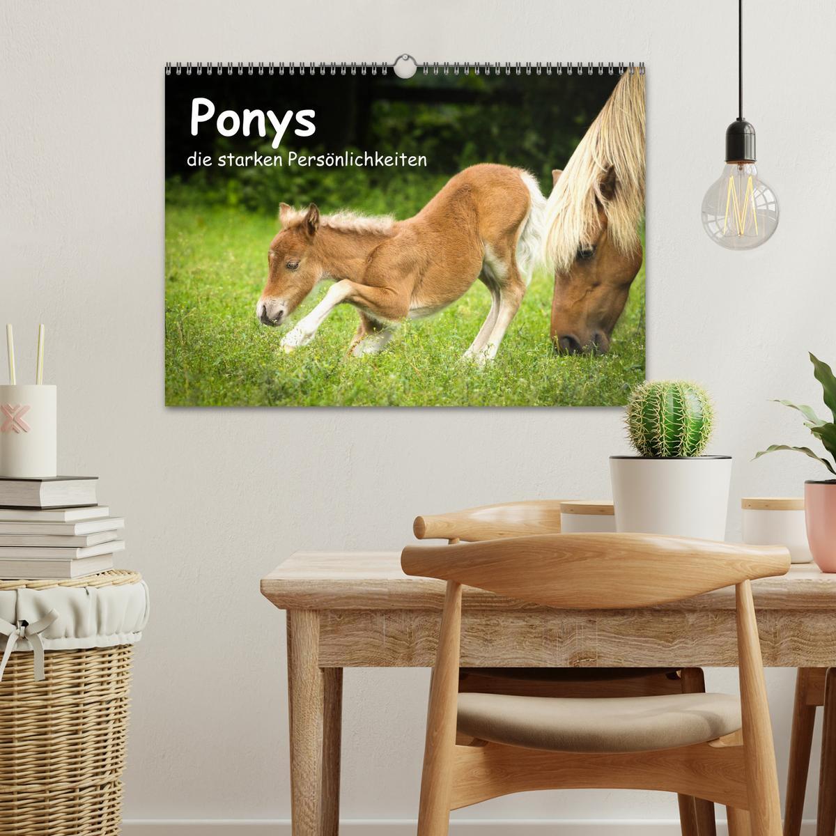 Bild: 9783435367023 | Ponys, die starken Persönlichkeiten (Wandkalender 2025 DIN A3...