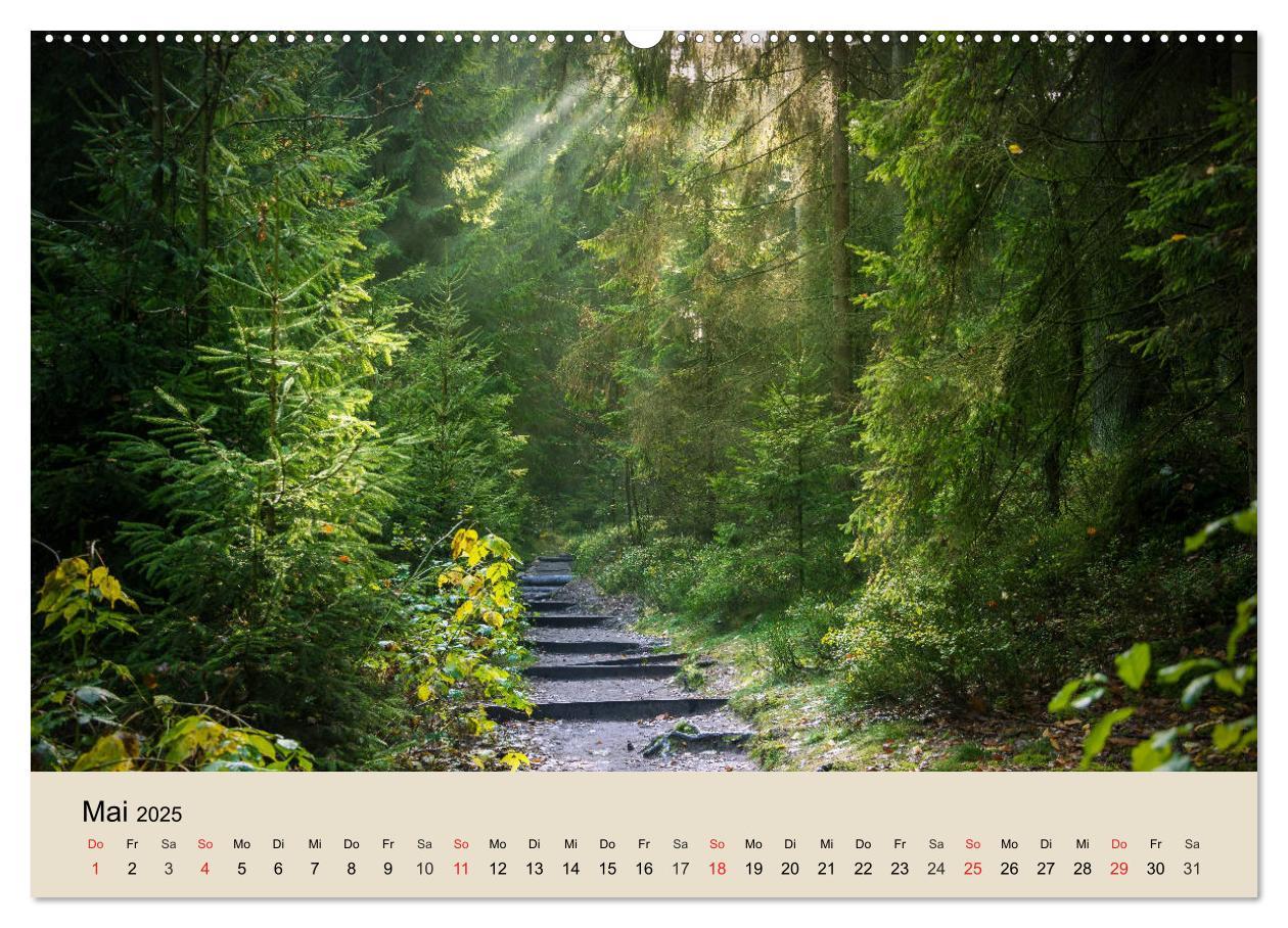 Bild: 9783435317714 | Der Wald. Durch zauberhafte Waldlandschaften (Wandkalender 2025 DIN...