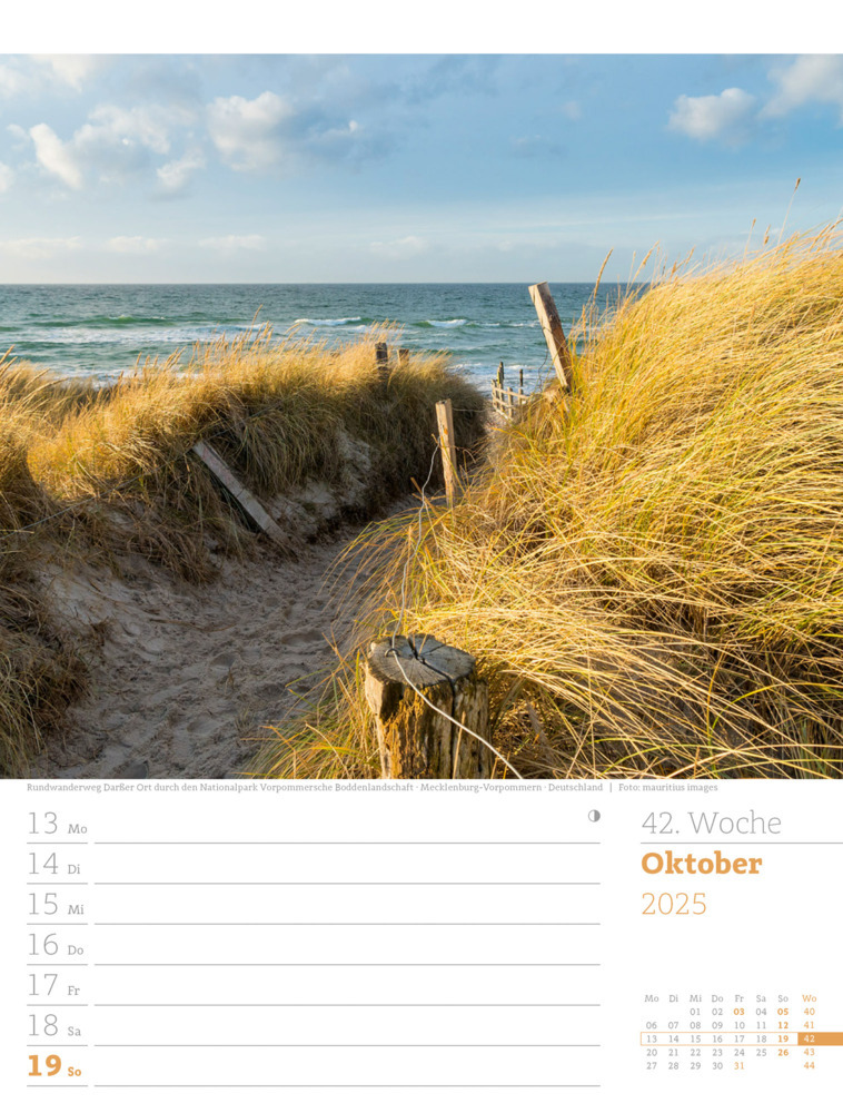 Bild: 9783838435039 | Am Meer - Wochenplaner Kalender 2025 | Ackermann Kunstverlag | 56 S.