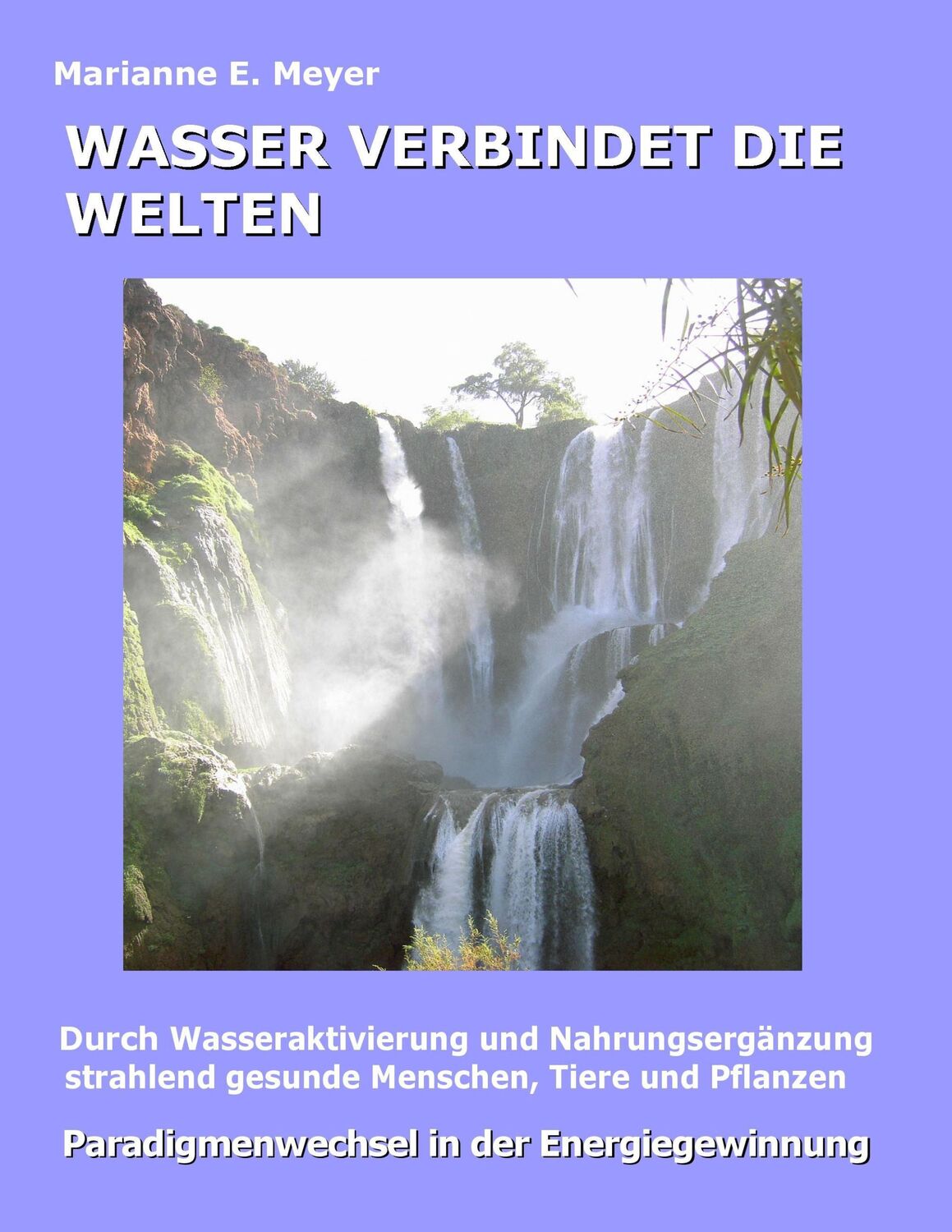 Cover: 9783837099898 | Wasser verbindet die Welten | Marianne E. Meyer | Taschenbuch | 124 S.