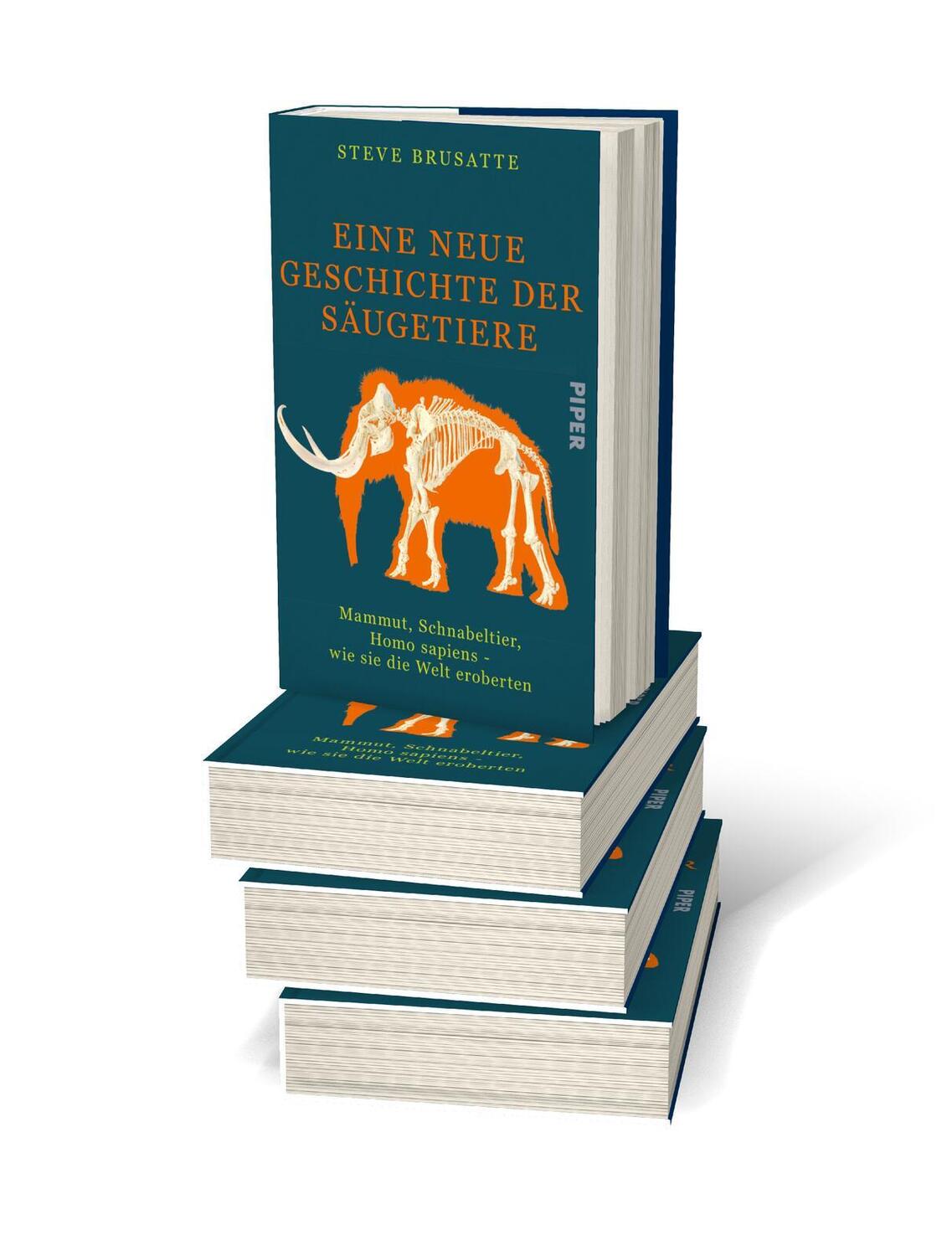 Bild: 9783492071932 | Eine neue Geschichte der Säugetiere | Steve Brusatte | Buch | 528 S.