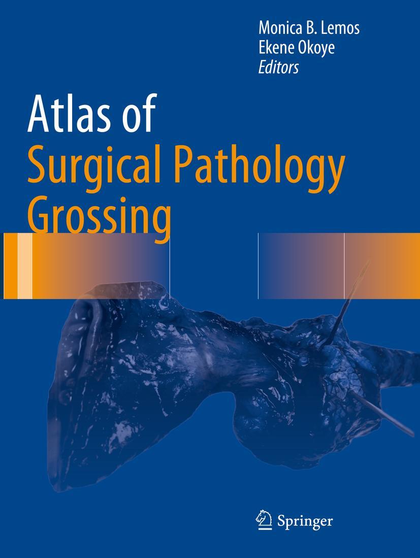 Cover: 9783030208417 | Atlas of Surgical Pathology Grossing | Ekene Okoye (u. a.) | Buch | xv