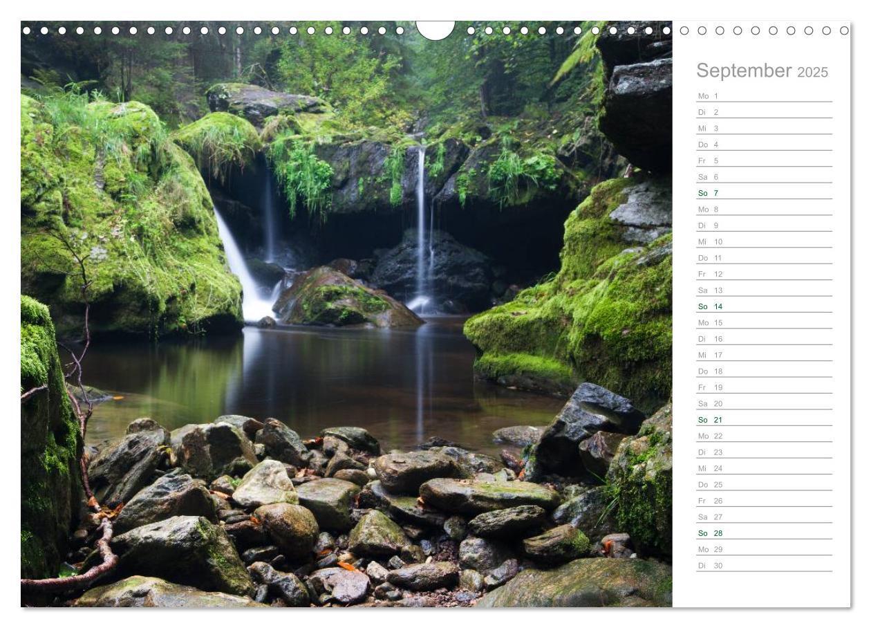 Bild: 9783435542369 | Im Deutschen Wald 2025 - ein Notizkalender (Wandkalender 2025 DIN...