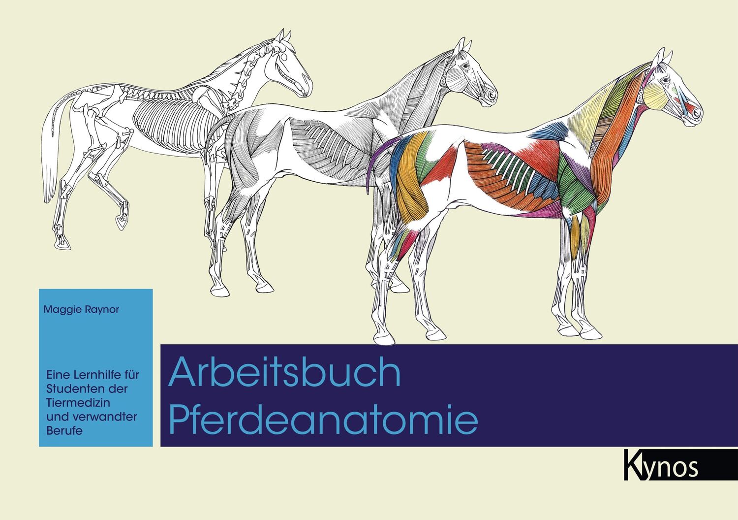 Cover: 9783954643059 | Arbeitsbuch Pferdeanatomie | Maggie Raynor | Buch | Ringheftung | 2024