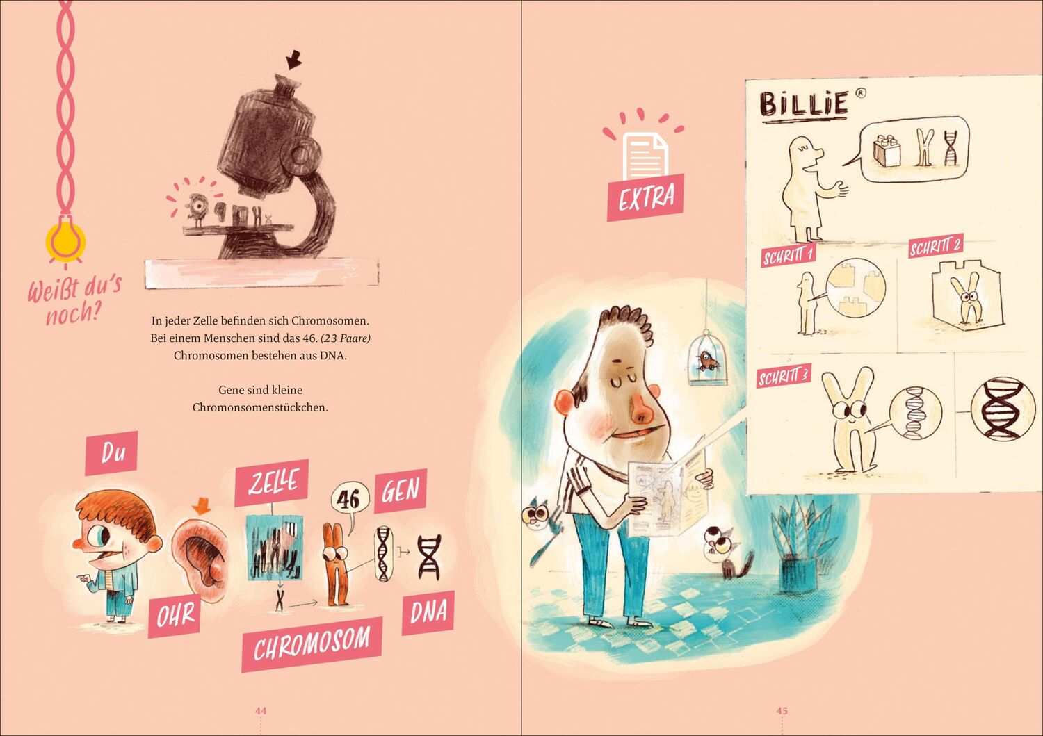 Bild: 9783958542174 | Billie und seine Gene | Stefan Boonen | Buch | 96 S. | Deutsch | 2024