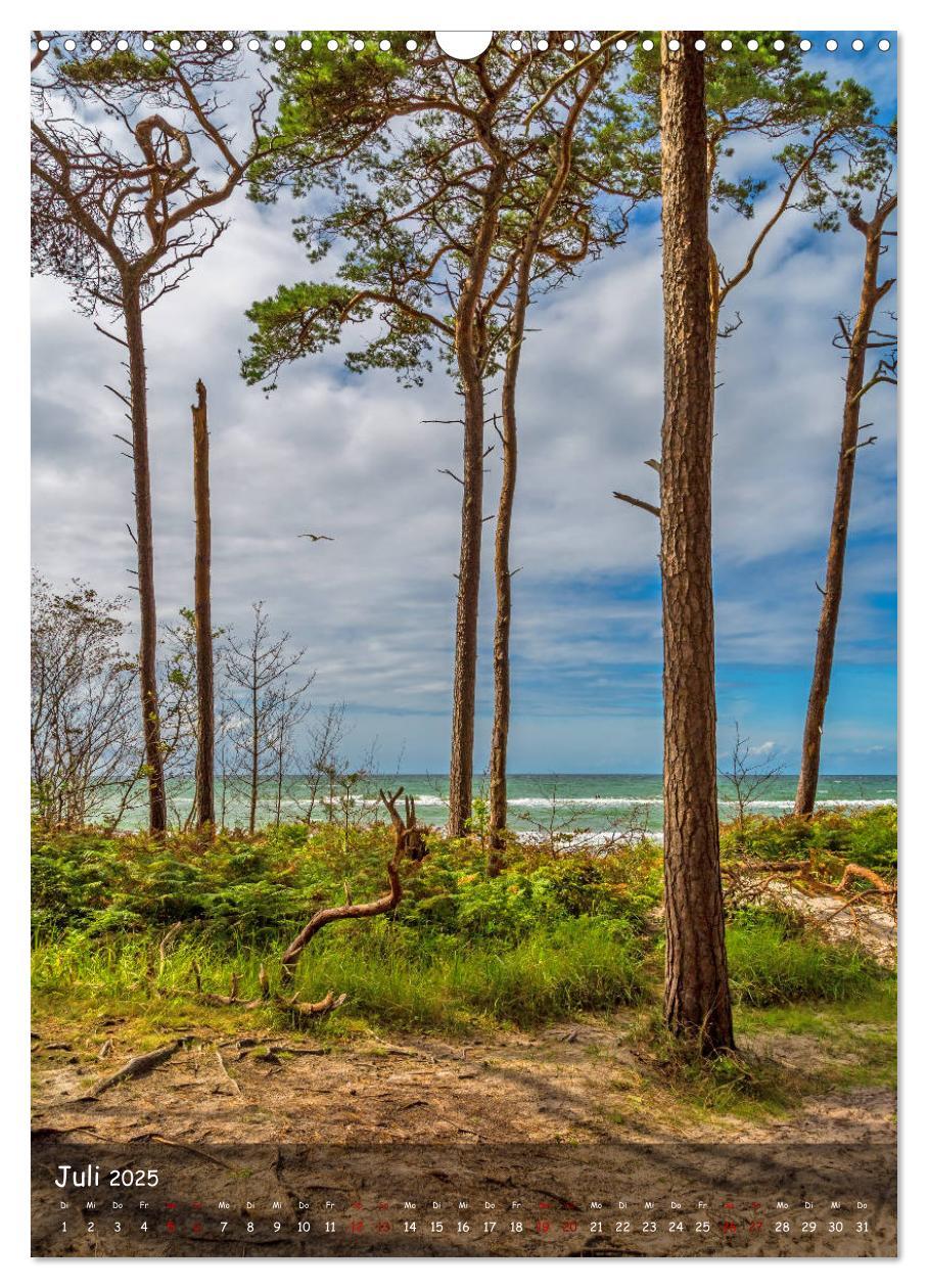 Bild: 9783435956272 | Wunderbare Ostseelandschaft Fischland-Darß-Zingst (Wandkalender...