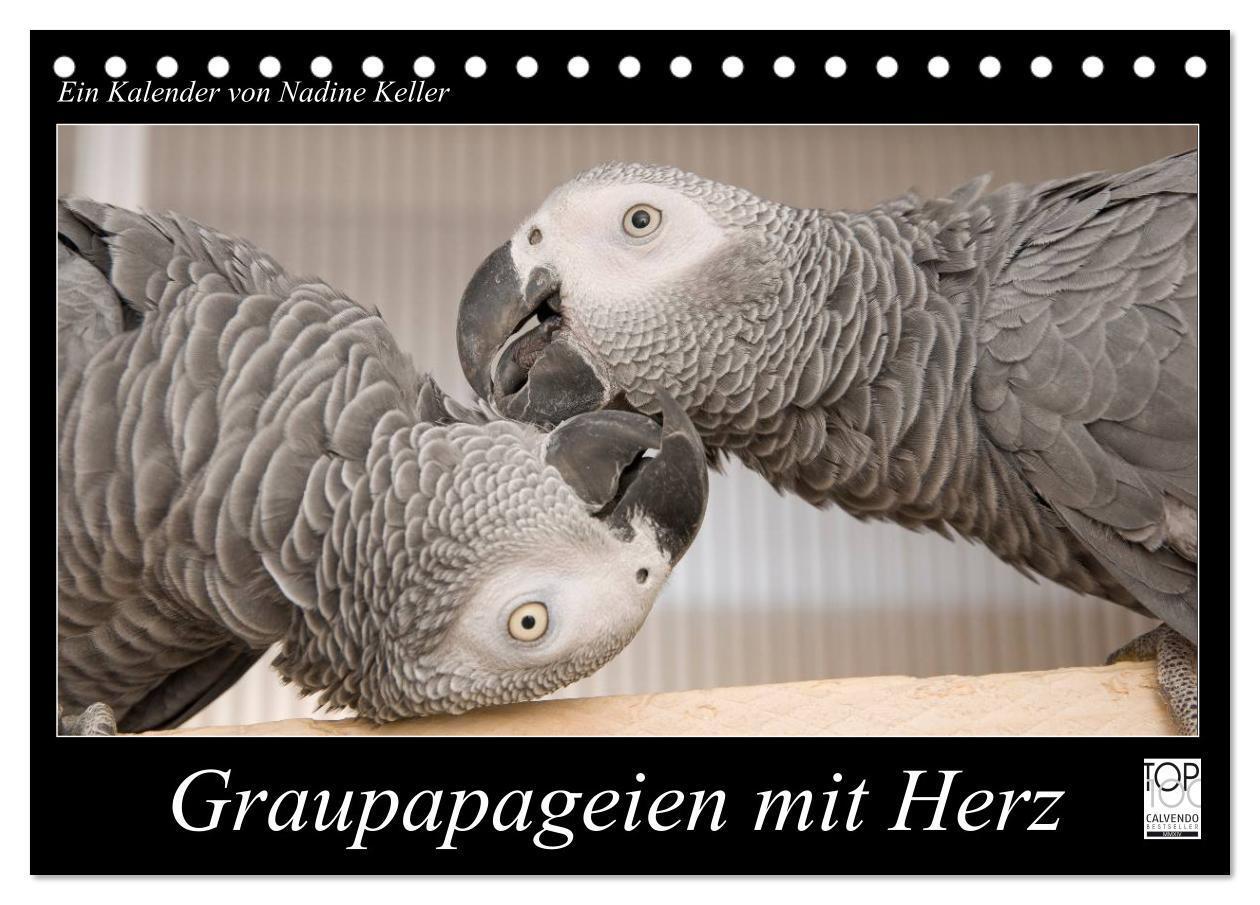 Cover: 9783435686285 | Graupapageien mit Herz (Tischkalender 2025 DIN A5 quer), CALVENDO...