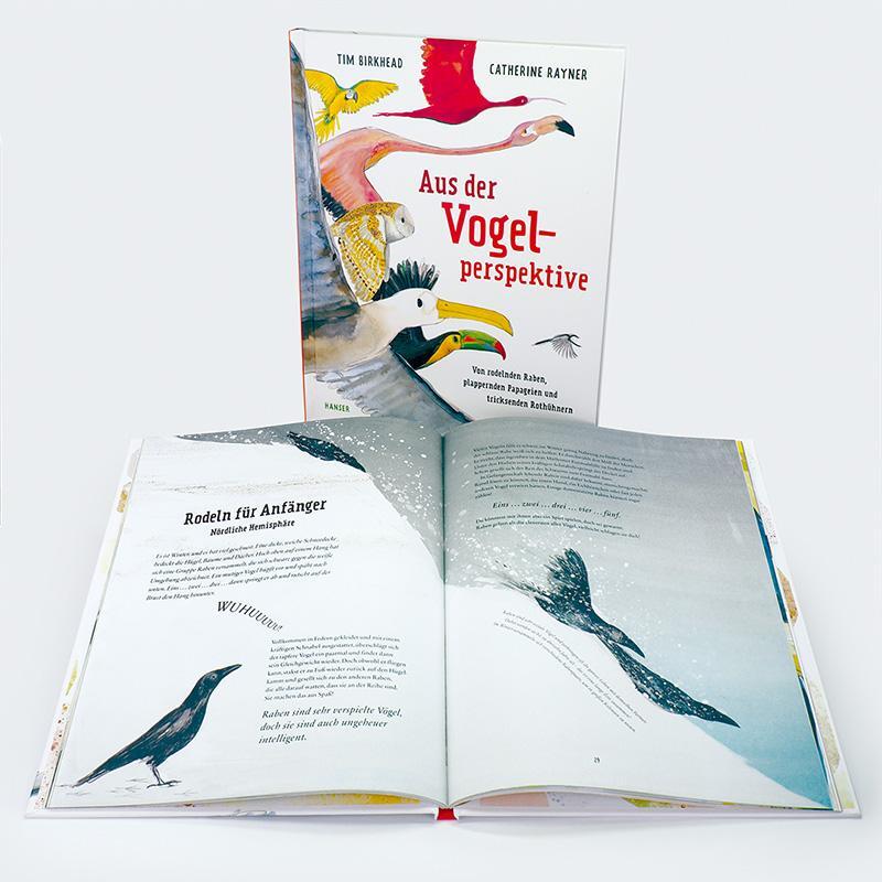 Bild: 9783446276499 | Aus der Vogelperspektive | Tim Birkhead (u. a.) | Buch | 48 S. | 2023