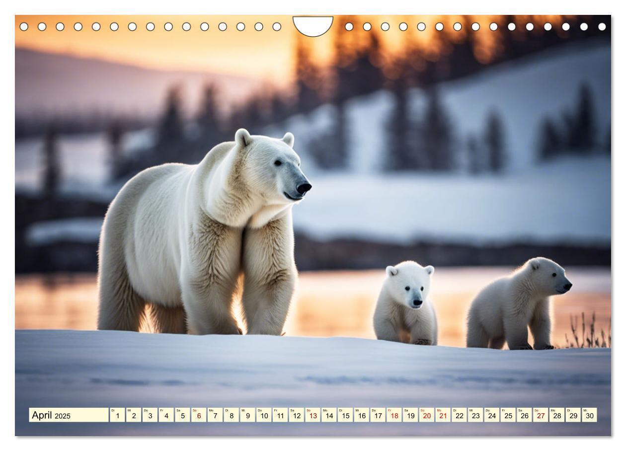 Bild: 9783383819957 | Eisbären im Fokus (Wandkalender 2025 DIN A4 quer), CALVENDO...