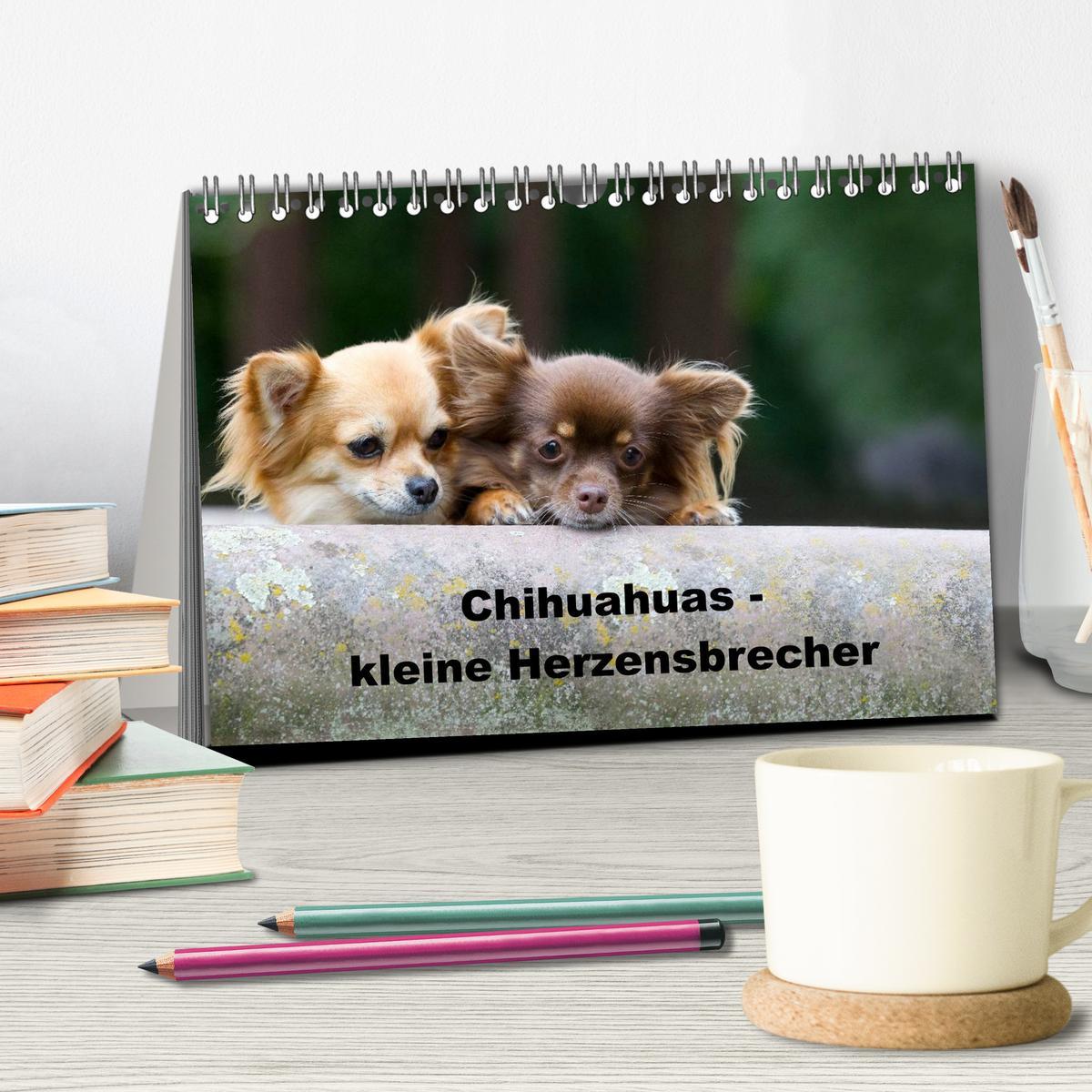 Bild: 9783435771080 | Chihuahuas - kleine Herzensbrecher (Tischkalender 2025 DIN A5...