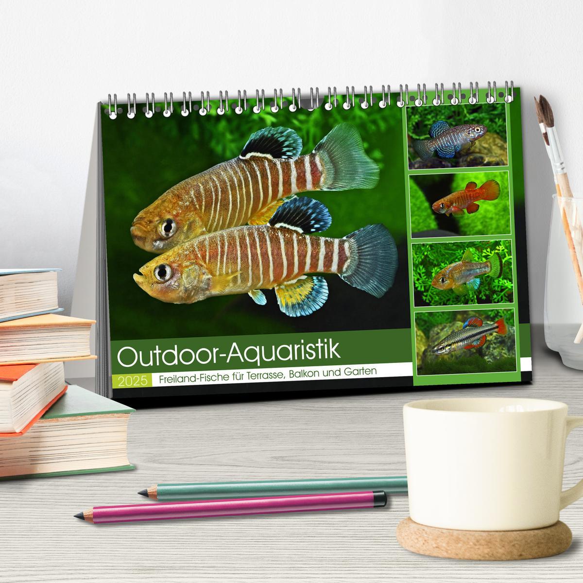 Bild: 9783383912184 | Outdoor-Aquaristik (Tischkalender 2025 DIN A5 quer), CALVENDO...