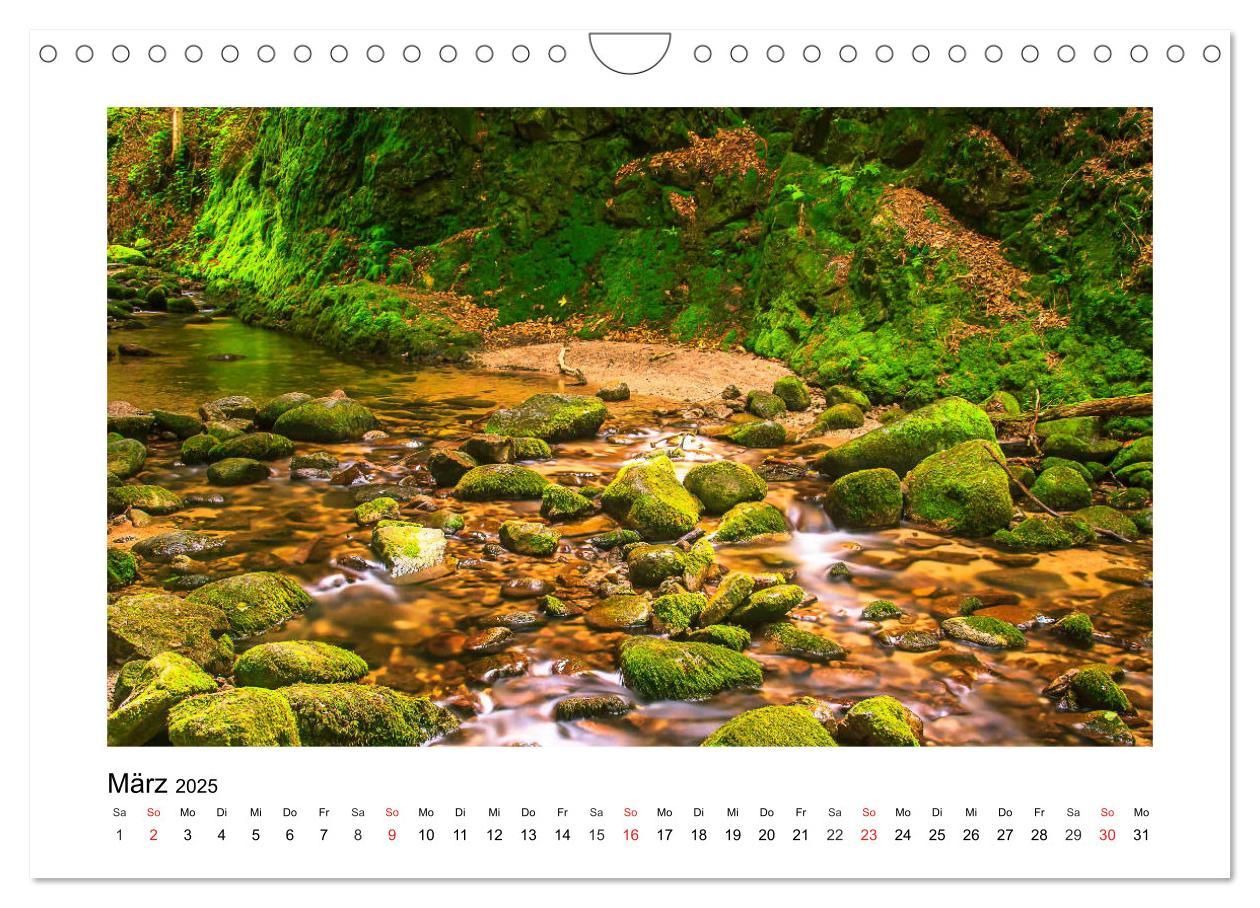 Bild: 9783435194742 | Eindrücke aus der Natur (Wandkalender 2025 DIN A4 quer), CALVENDO...