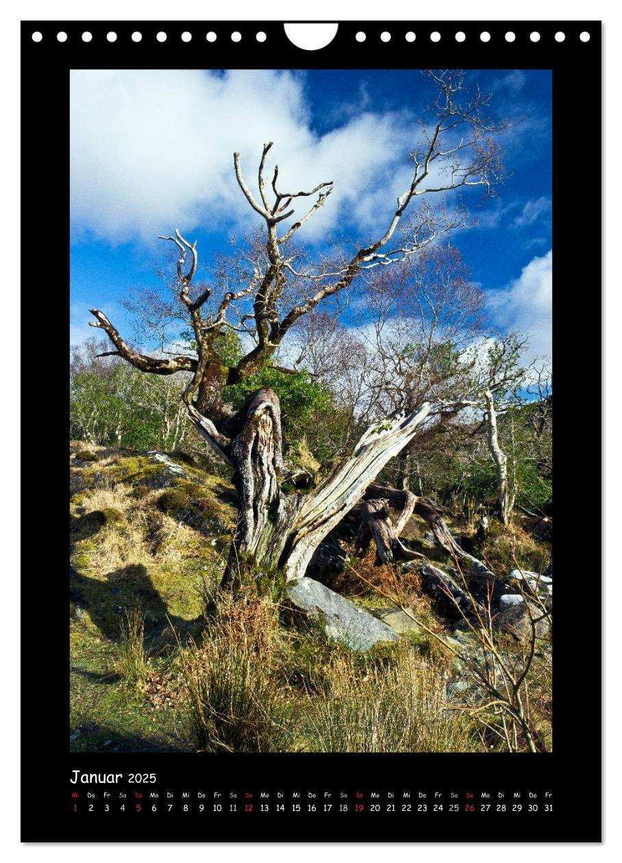 Bild: 9783457061855 | Irland - Romantische Plätze auf der Grünen Insel (Wandkalender 2025...