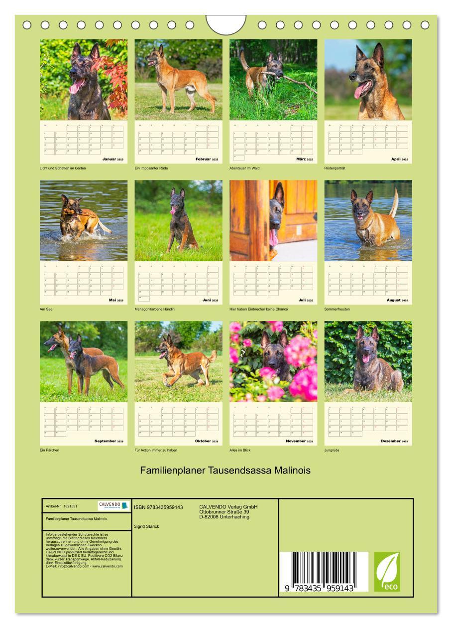 Bild: 9783435959143 | Familienplaner Tausendsassa Malinois (Wandkalender 2025 DIN A4...