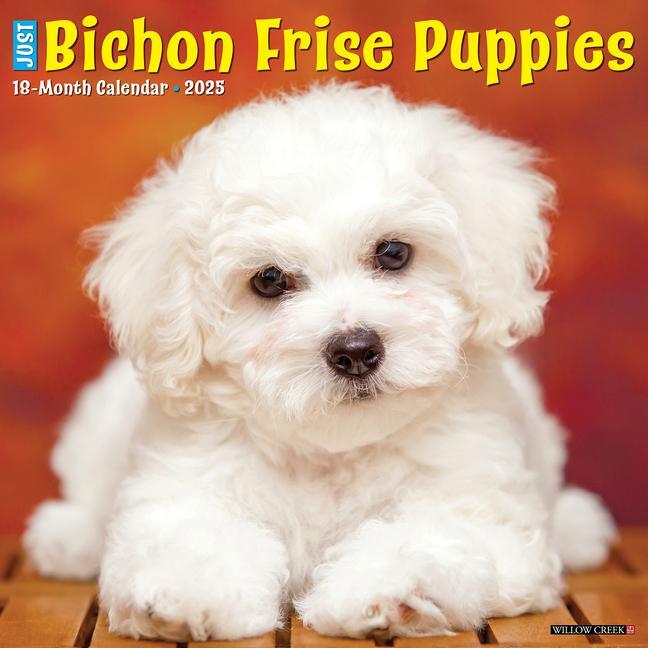 Cover: 9781549241734 | Just Bichon Frise Puppies 2025 12 X 12 Wall Calendar | Press | 2025