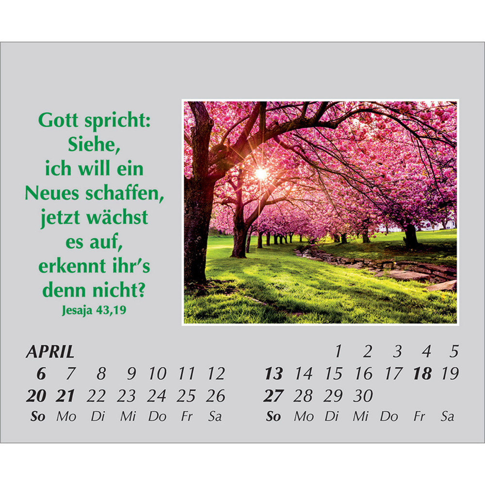 Bild: 9783754861059 | Freude für jeden Tag 2025 | Kalender | Spiralbindung. Spiralbindung