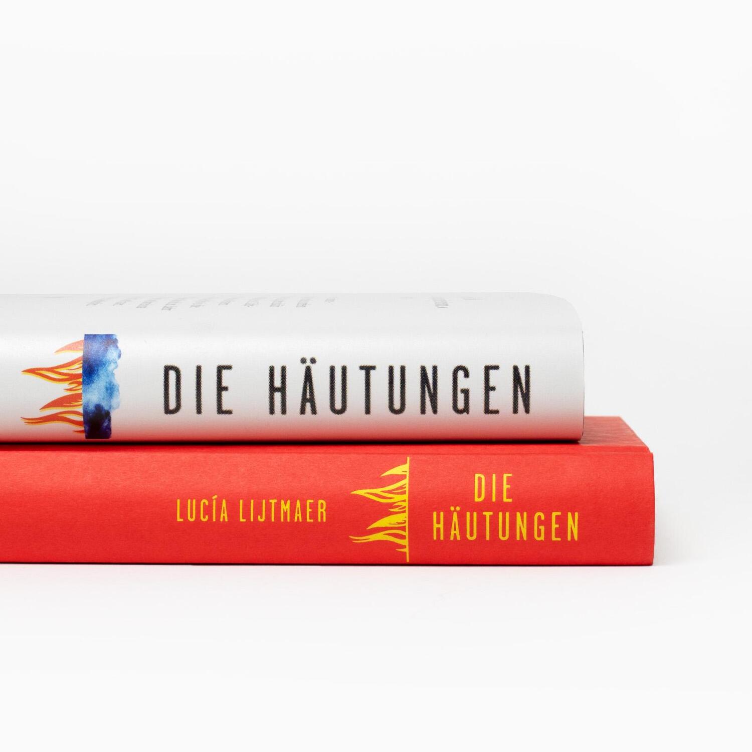 Bild: 9783518431436 | Die Häutungen | Lucía Lijtmaer | Buch | 219 S. | Deutsch | 2024