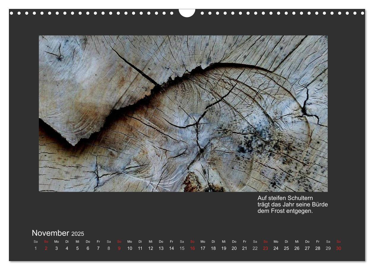 Bild: 9783435801503 | MAGIE HOLZ 2025 (Wandkalender 2025 DIN A3 quer), CALVENDO...