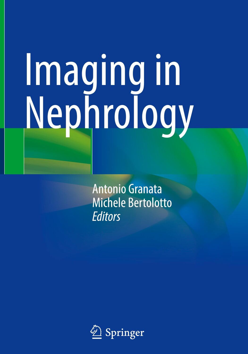 Cover: 9783030607920 | Imaging in Nephrology | Michele Bertolotto (u. a.) | Buch | xvi | 2021