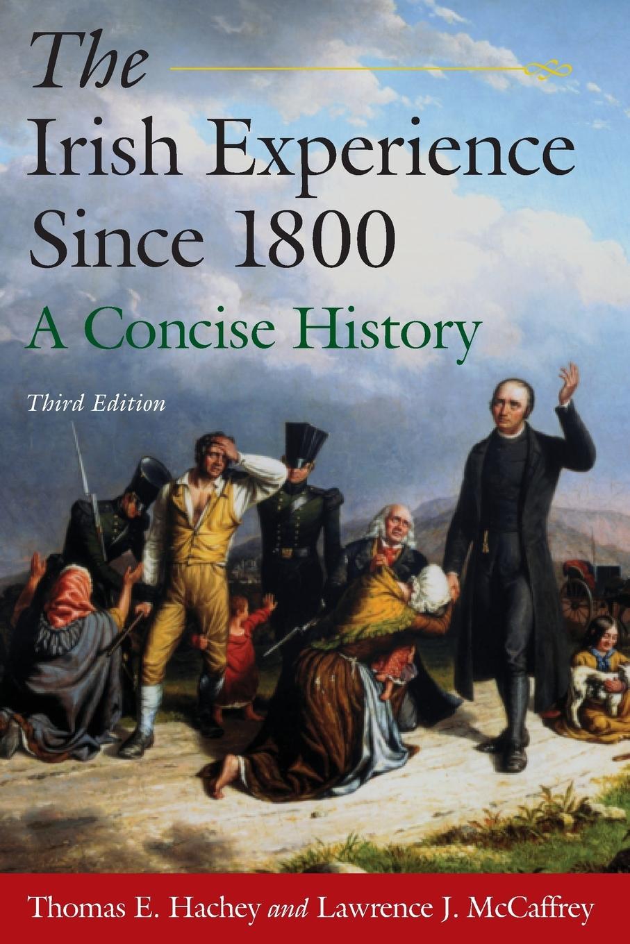 Cover: 9780765625113 | The Irish Experience Since 1800 | A Concise History: A Concise History