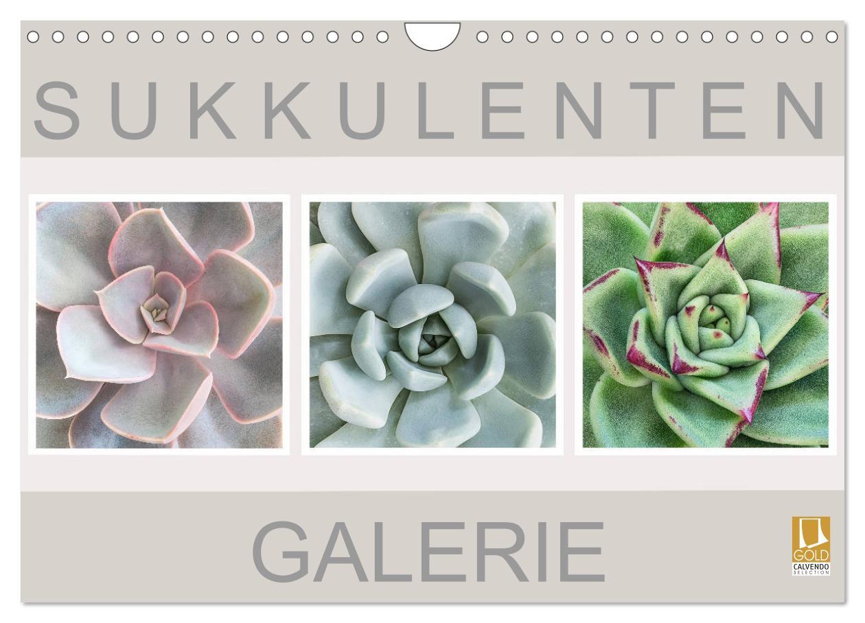 Cover: 9783435292066 | Sukkulenten Galerie (Wandkalender 2025 DIN A4 quer), CALVENDO...