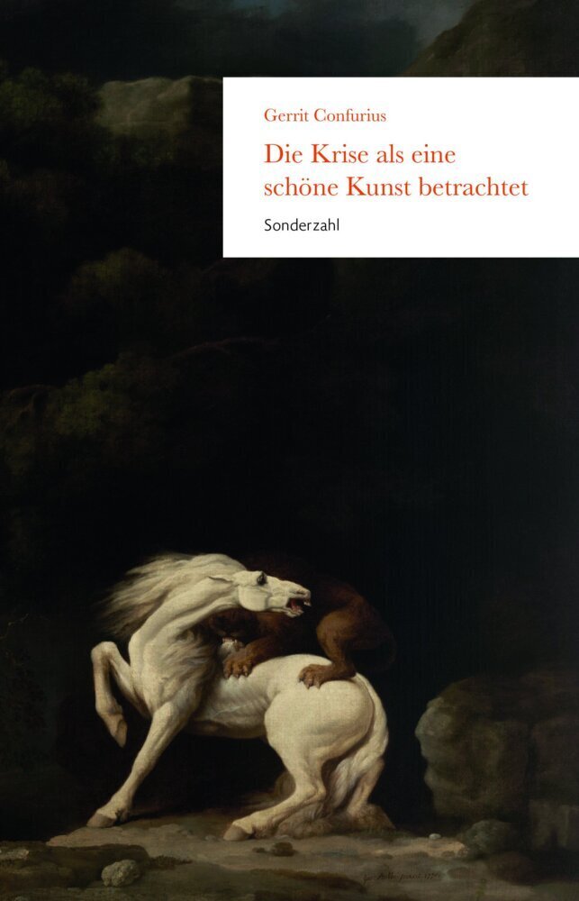 Cover: 9783854495345 | Die Krise als eine schöne Kunst betrachtet | Essay | Gerrit Confurius