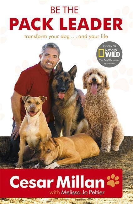 Cover: 9780340976456 | Be the Pack Leader | Cesar Millan | Taschenbuch | Englisch | 2009