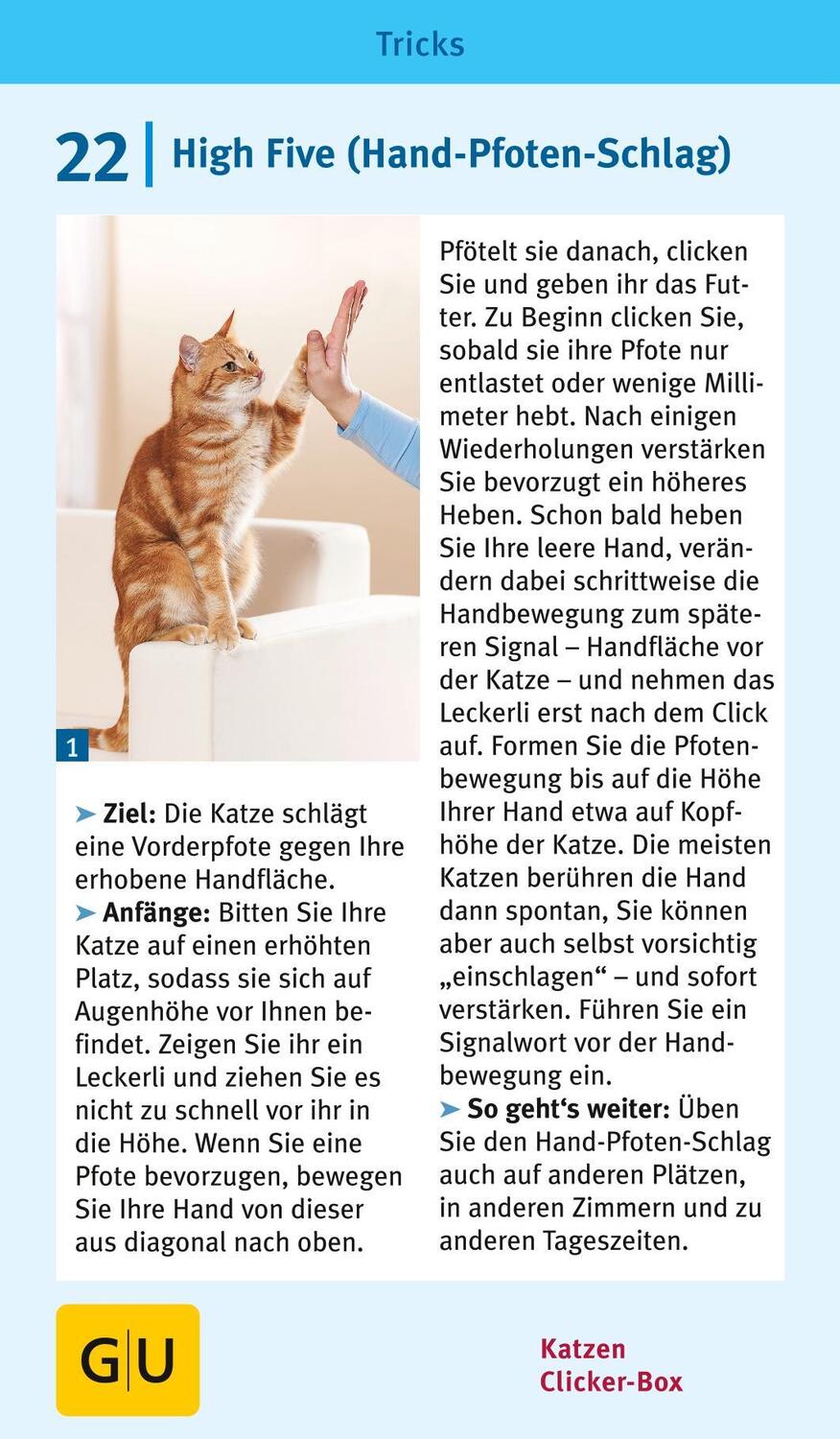 Bild: 9783833835926 | Katzen-Clicker-Box | Plus Clicker für sofortigen Spielspaß | Rödder