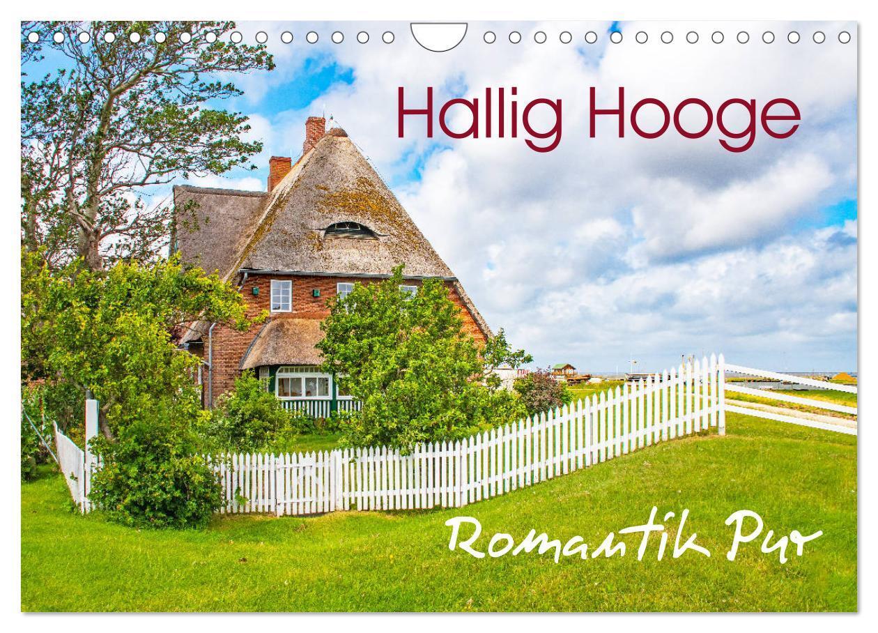 Cover: 9783435115648 | Hallig Hooge - Romantik Pur (Wandkalender 2025 DIN A4 quer),...