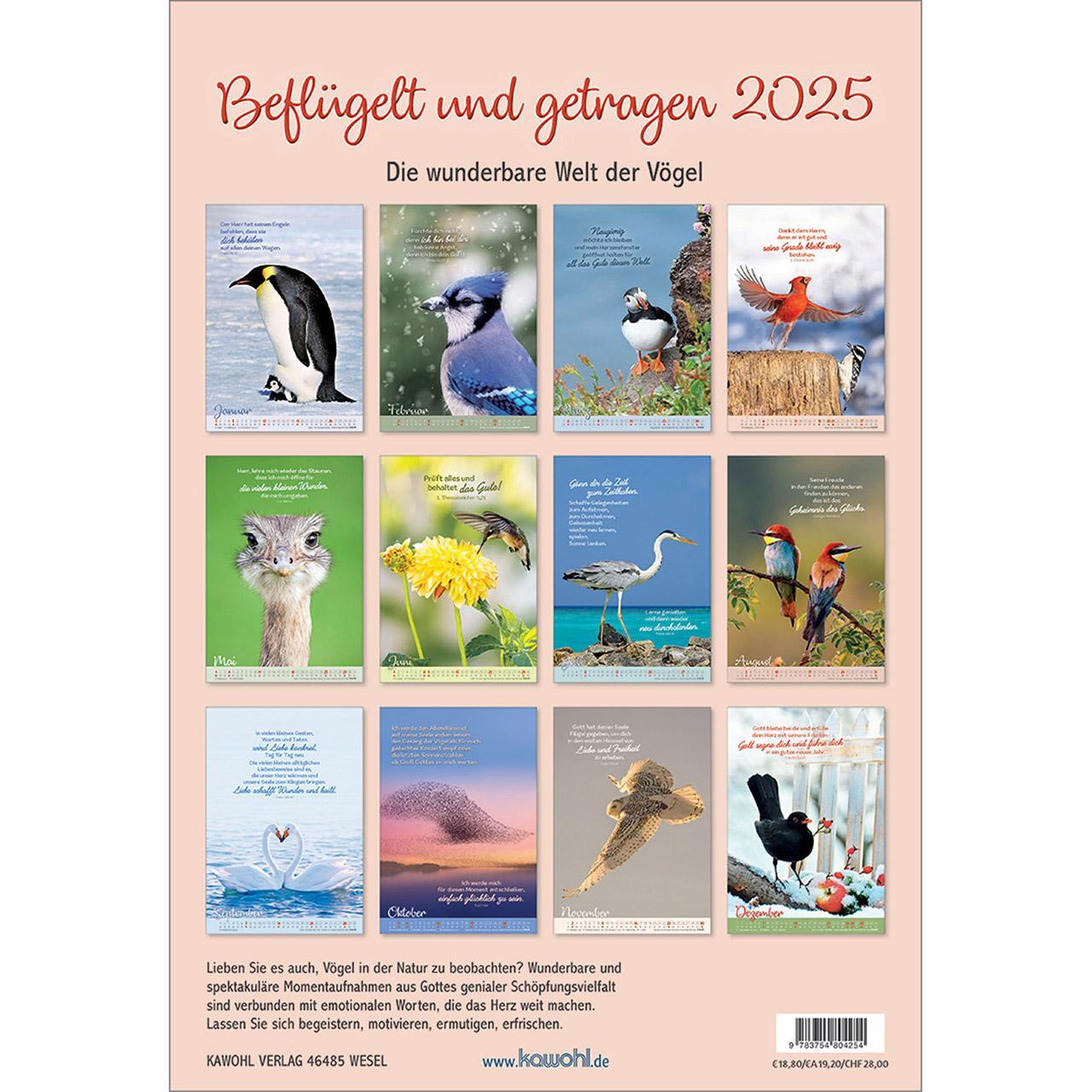 Bild: 9783754804254 | Beflügelt und getragen 2025 | Vögel | Kalender | Spiralbindung | 14 S.