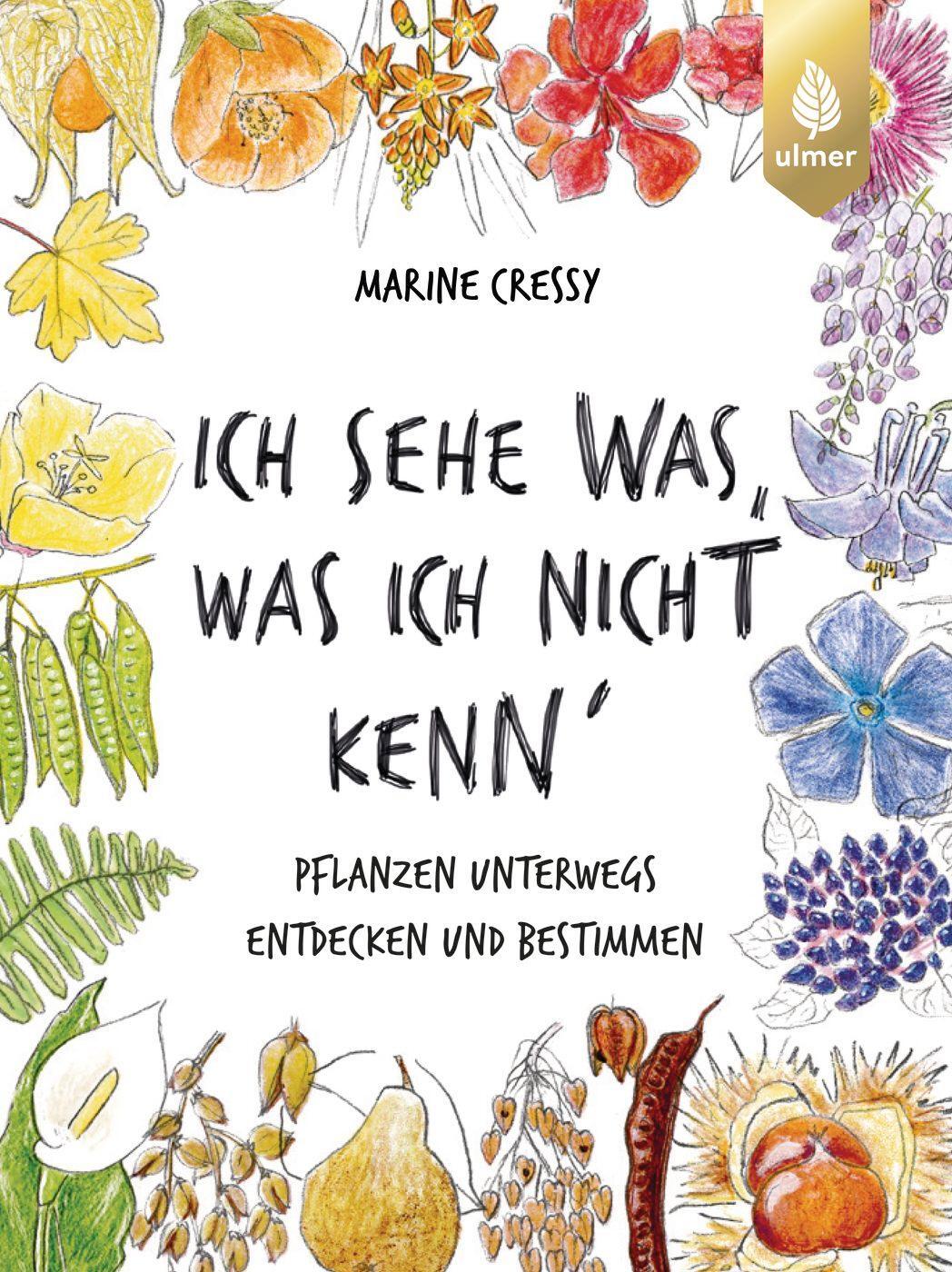 Cover: 9783818619558 | Ich sehe was, was ich nicht kenn´ | Marine Cressy (u. a.) | Buch