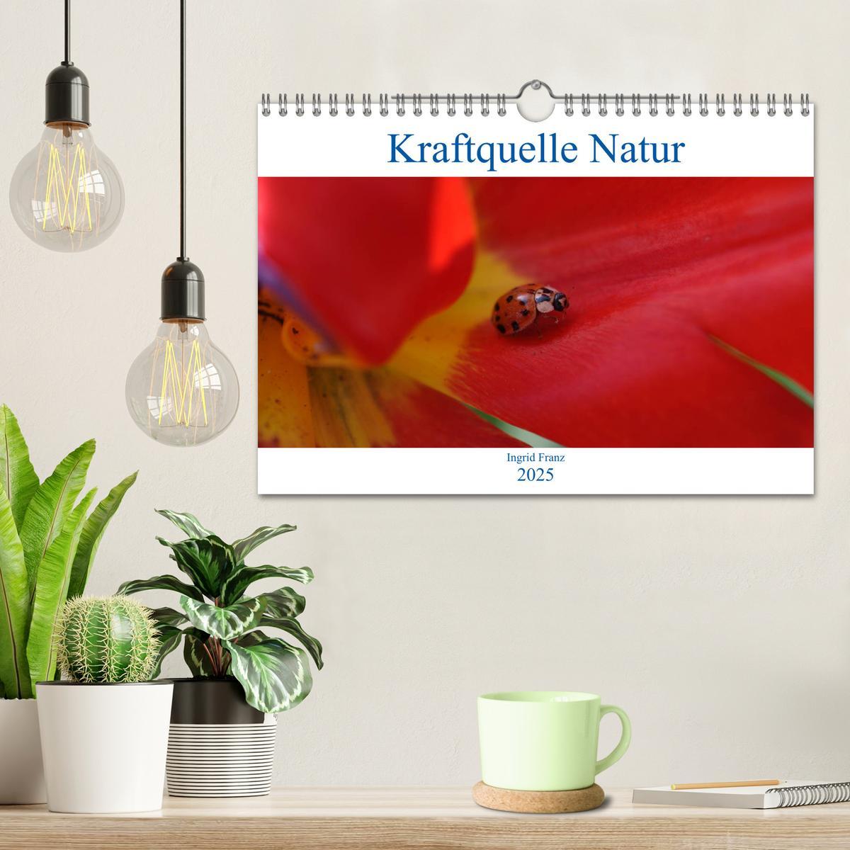 Bild: 9783435122271 | Kraftquelle Natur (Wandkalender 2025 DIN A4 quer), CALVENDO...