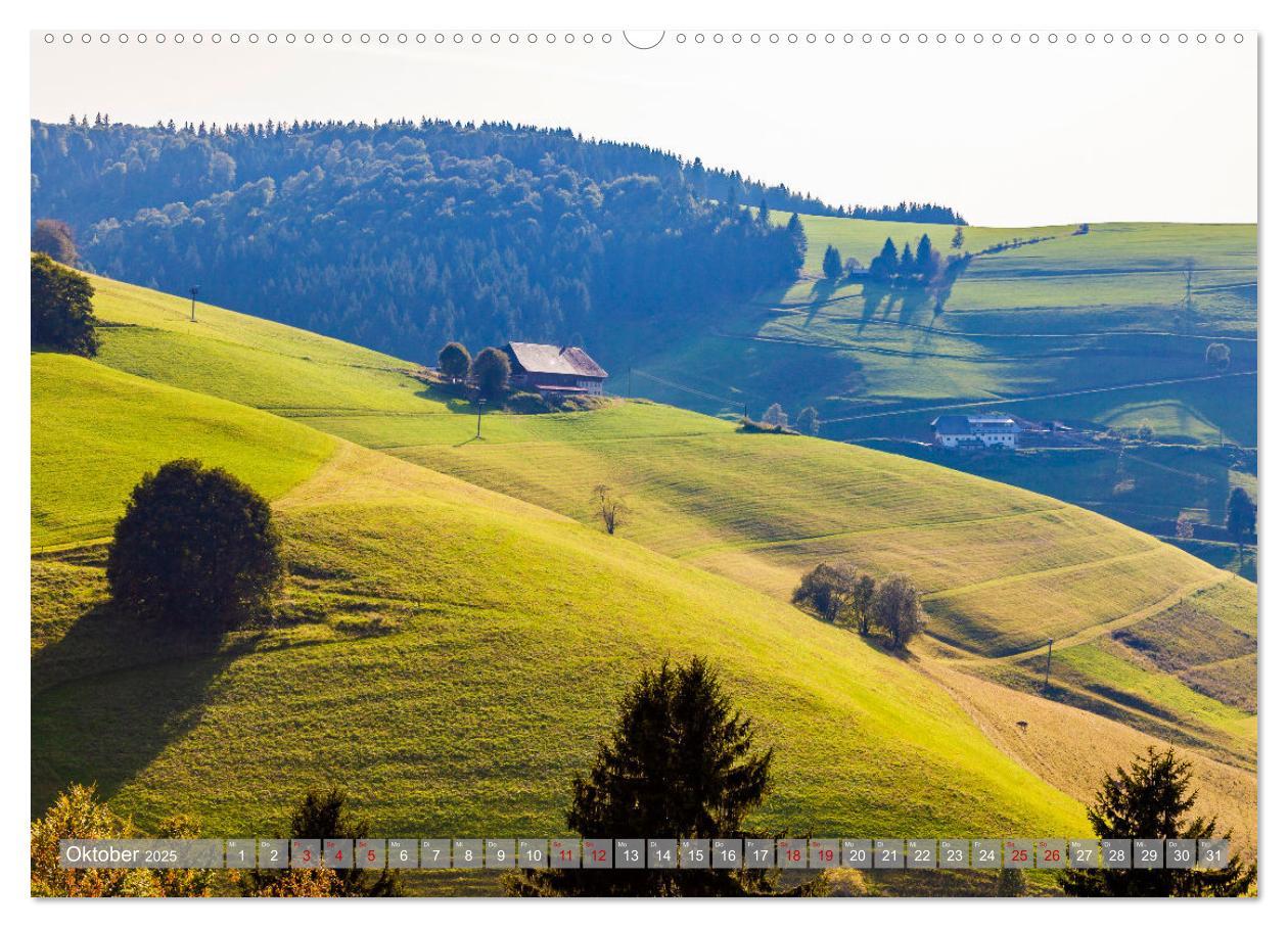 Bild: 9783435076390 | Ein Jahr im Schwarzwald (Wandkalender 2025 DIN A2 quer), CALVENDO...