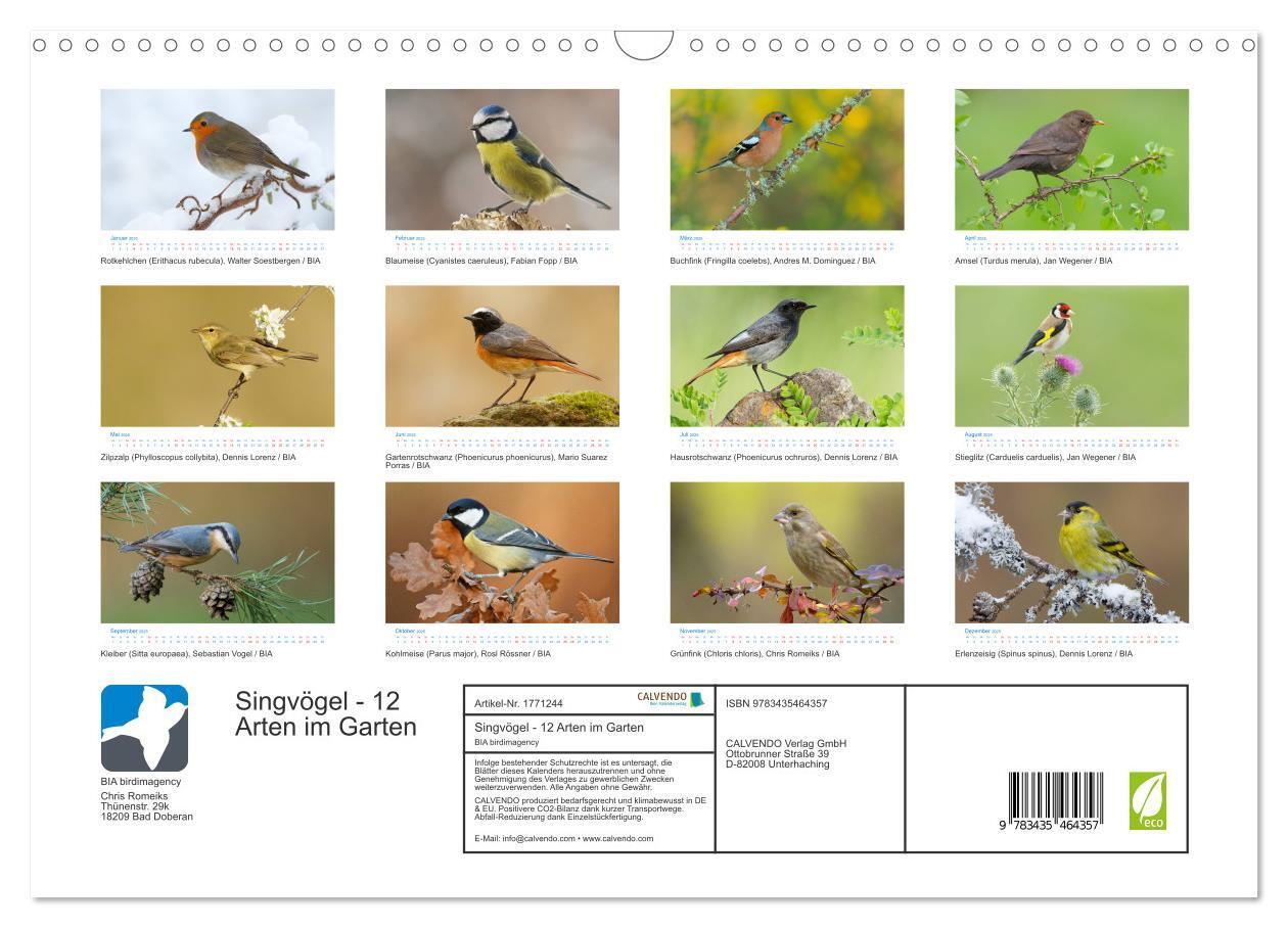 Bild: 9783435464357 | Singvögel - 12 Arten im Garten (Wandkalender 2025 DIN A3 quer),...