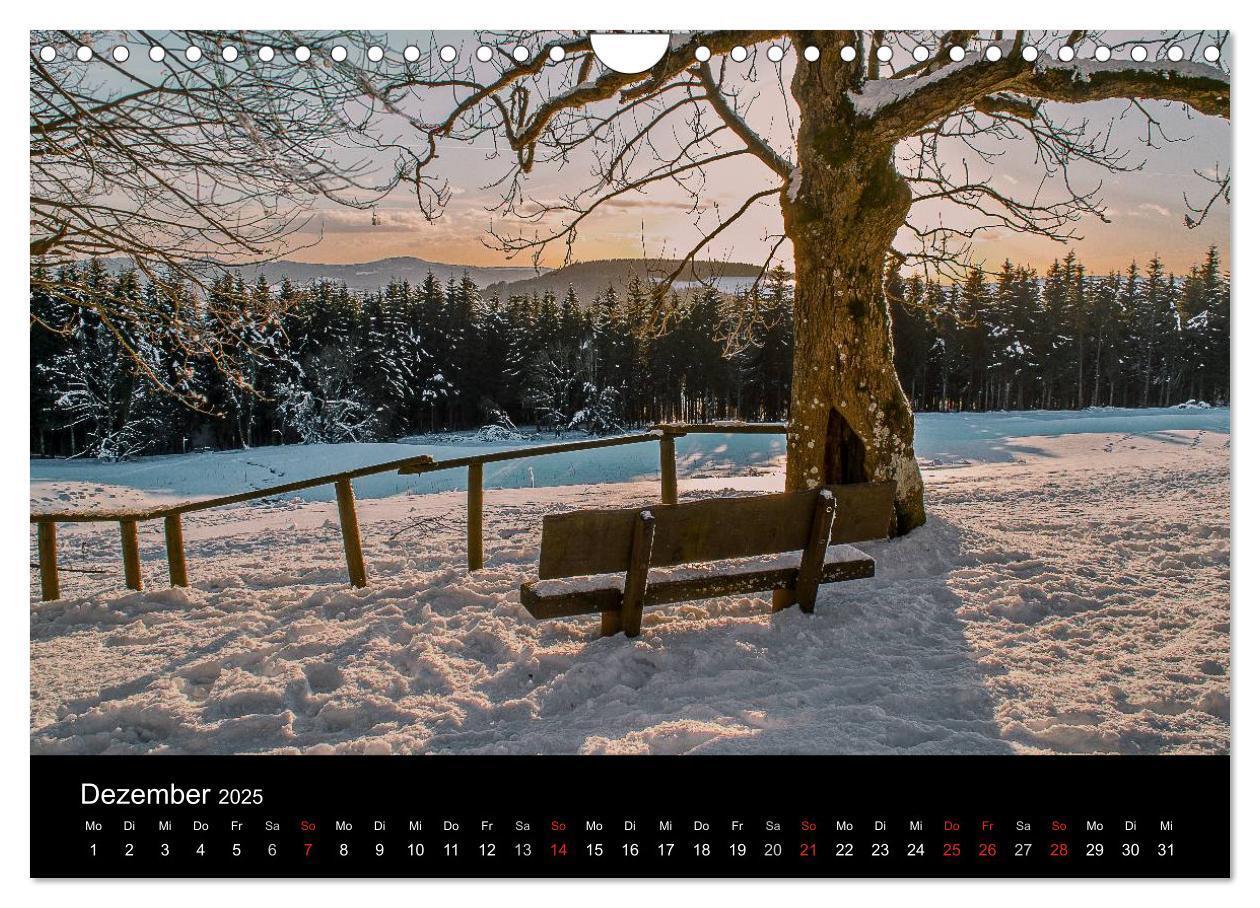 Bild: 9783435549399 | Hanau und Umgebung (Wandkalender 2025 DIN A4 quer), CALVENDO...